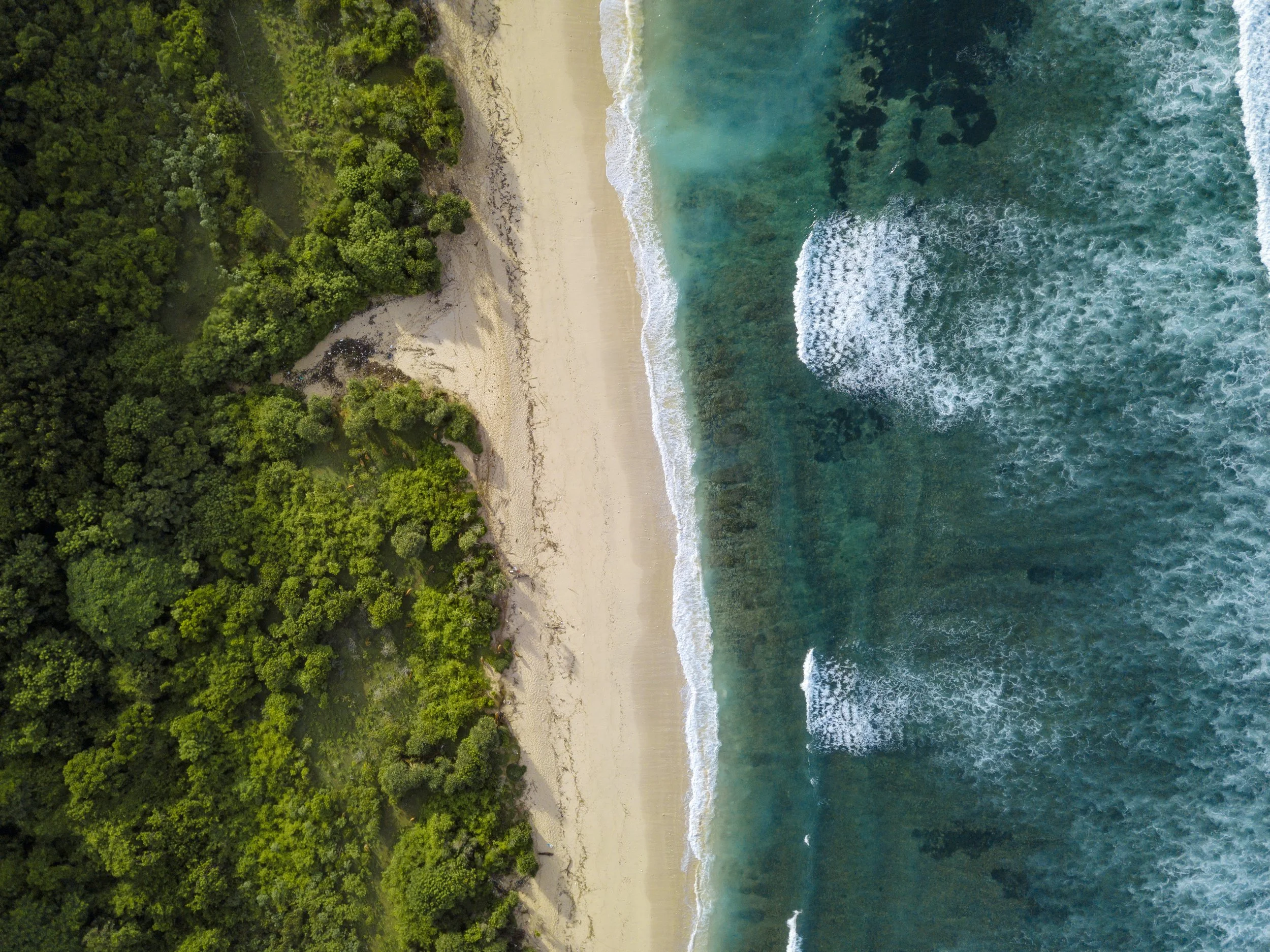 aerial-view-of-tropical-beach-bali-indonesia-2021-08-30-15-13-25-utc.jpeg