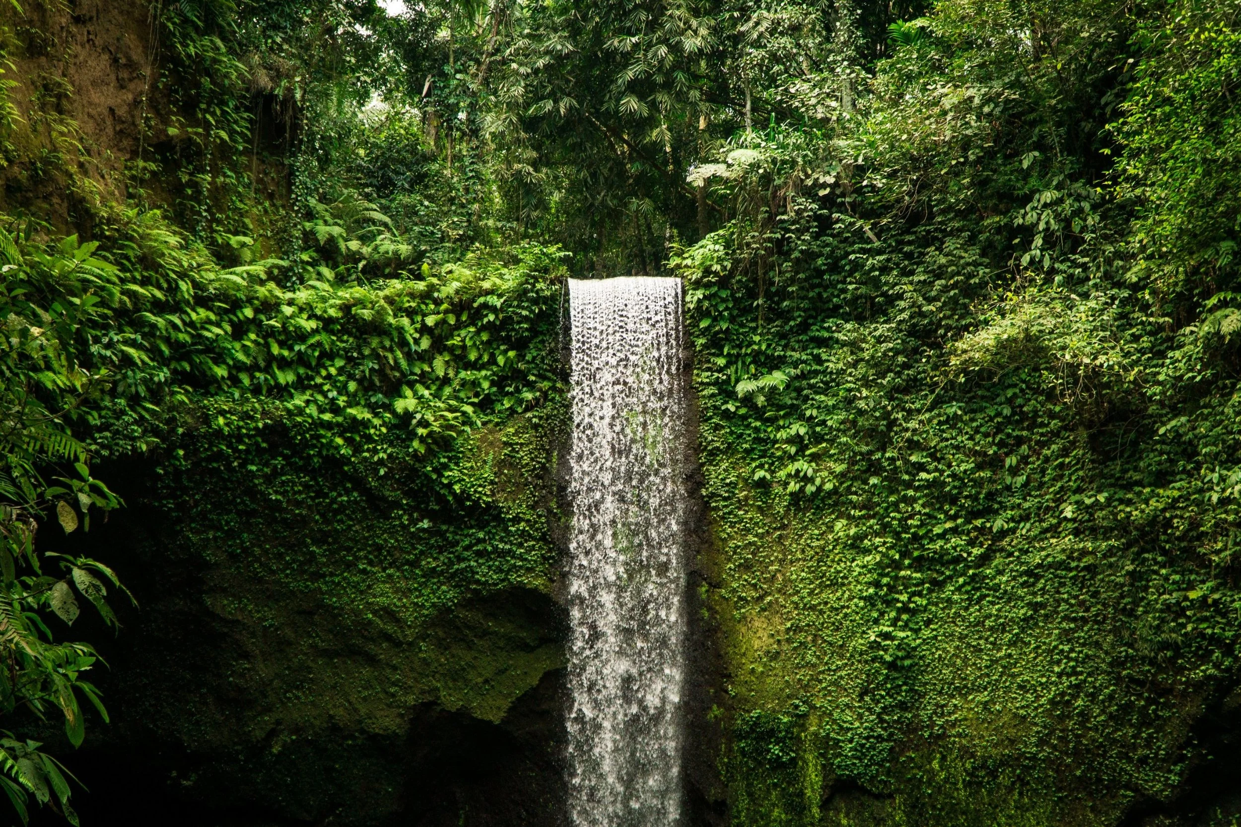 bali-waterfall-2022-03-01-03-16-45-utc.jpeg