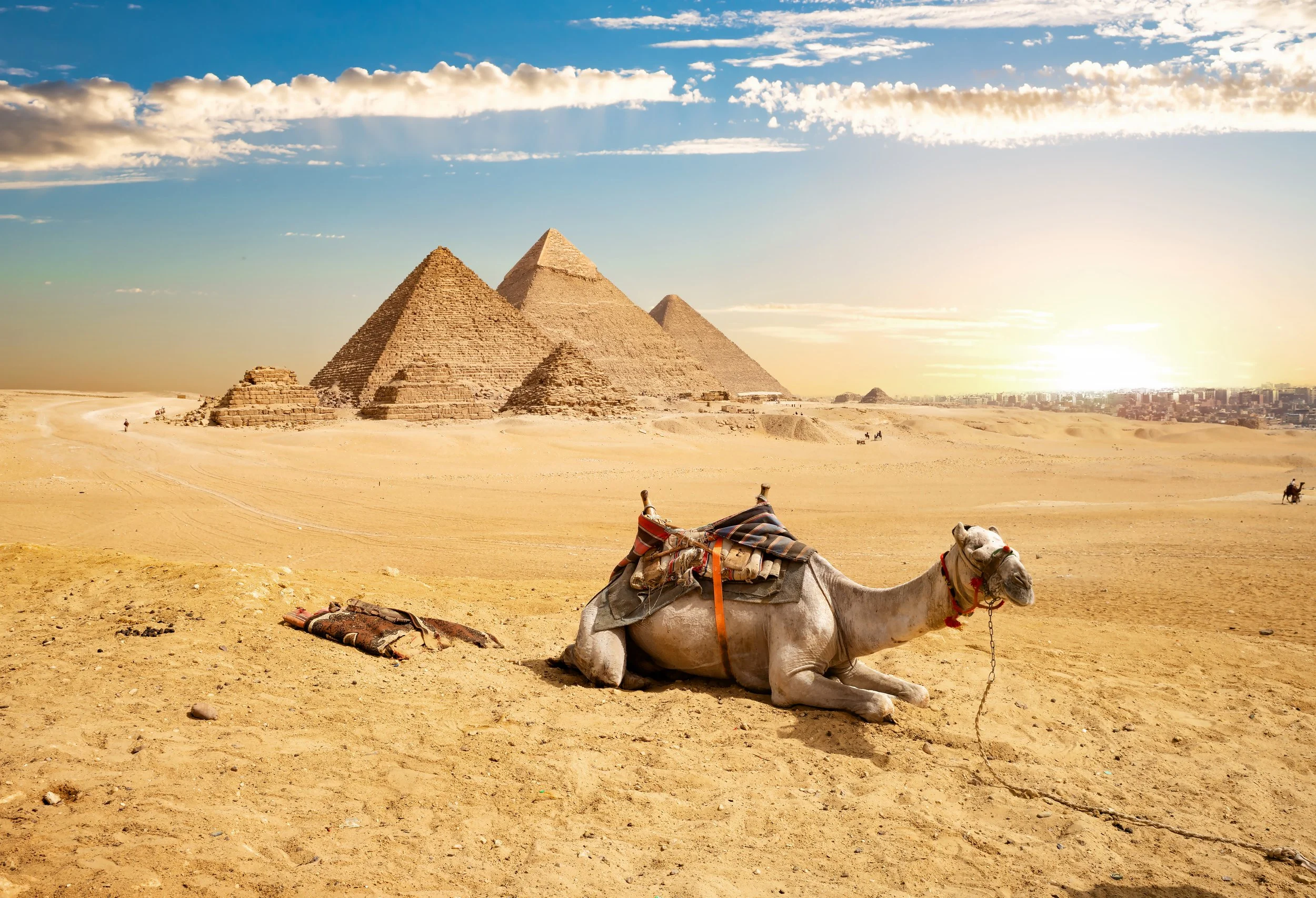 camel-and-pyramids-LE8M3RP.jpg