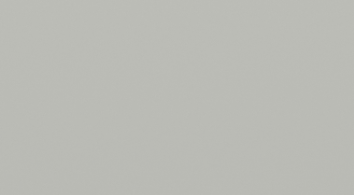 Oyster Grey Matt - GL258A.png