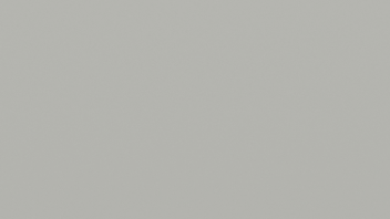 Anodic Grey Matt - GY221A.png