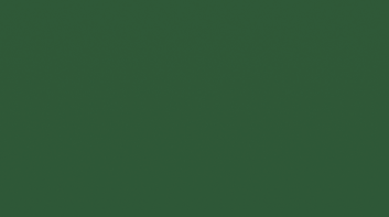 Lawn Green Gloss - MK038A.png