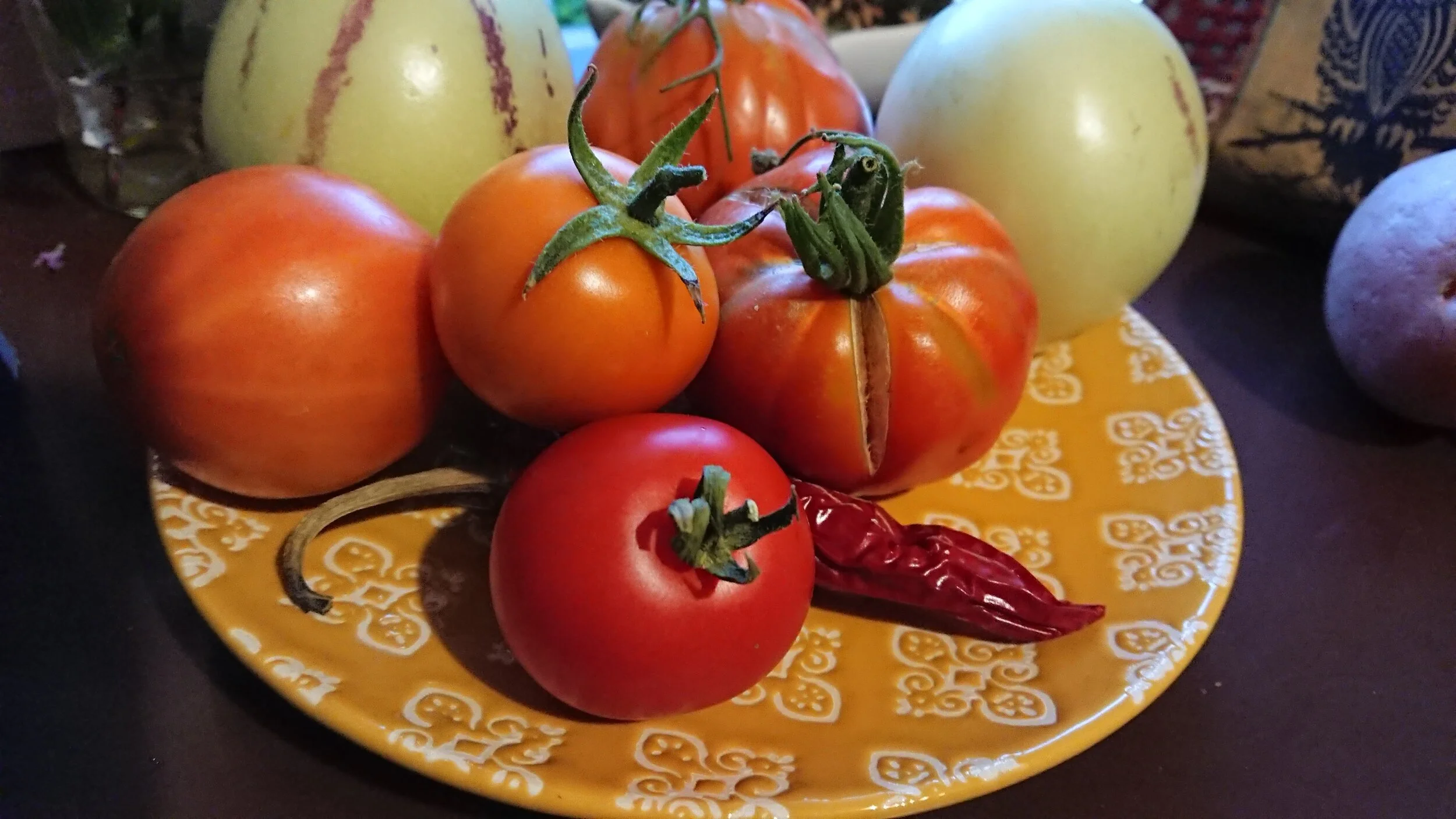 Growing Tomatoes in Brisbane