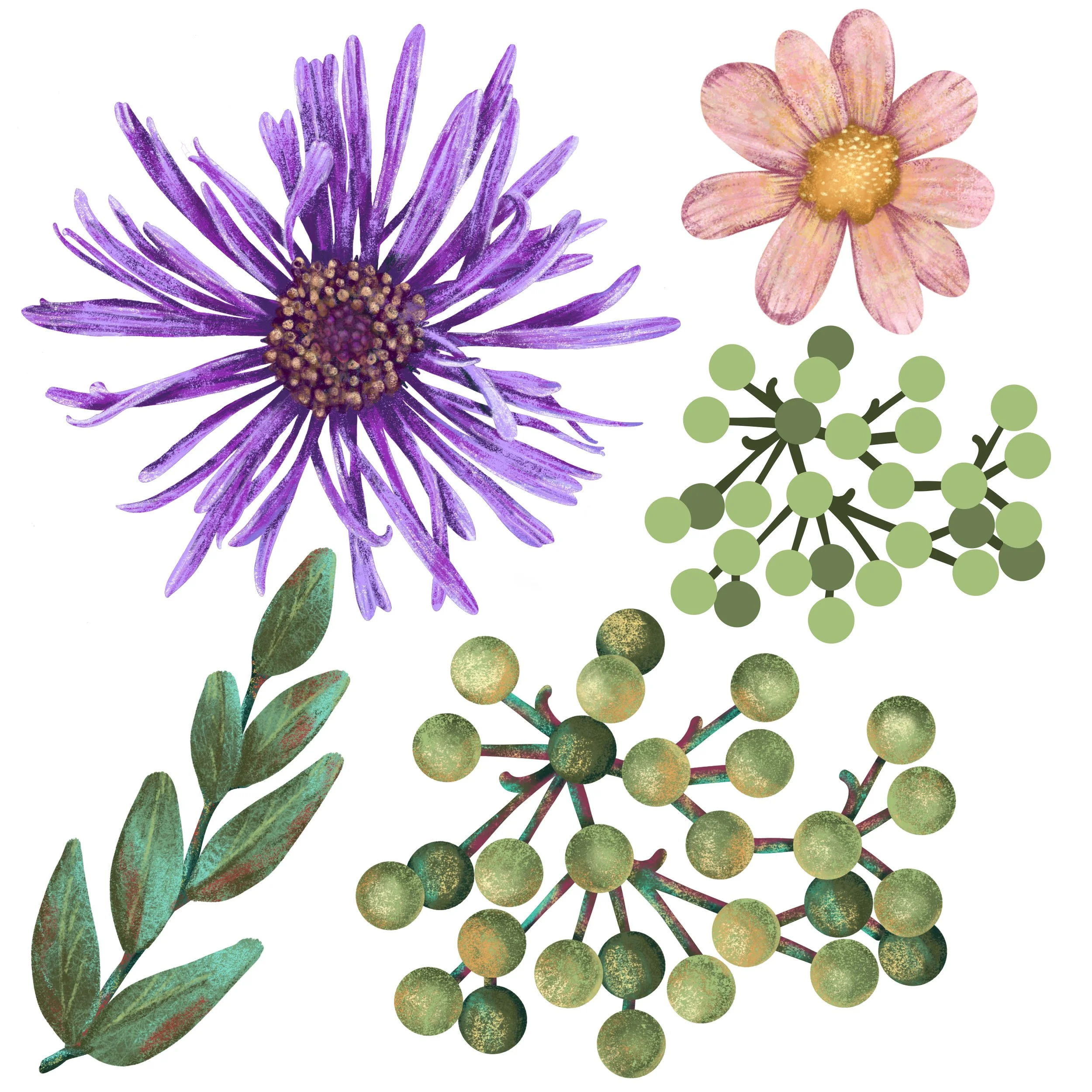 Elements-floral 2.jpeg