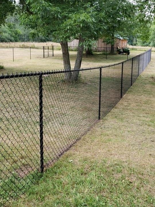 fence3.jpg