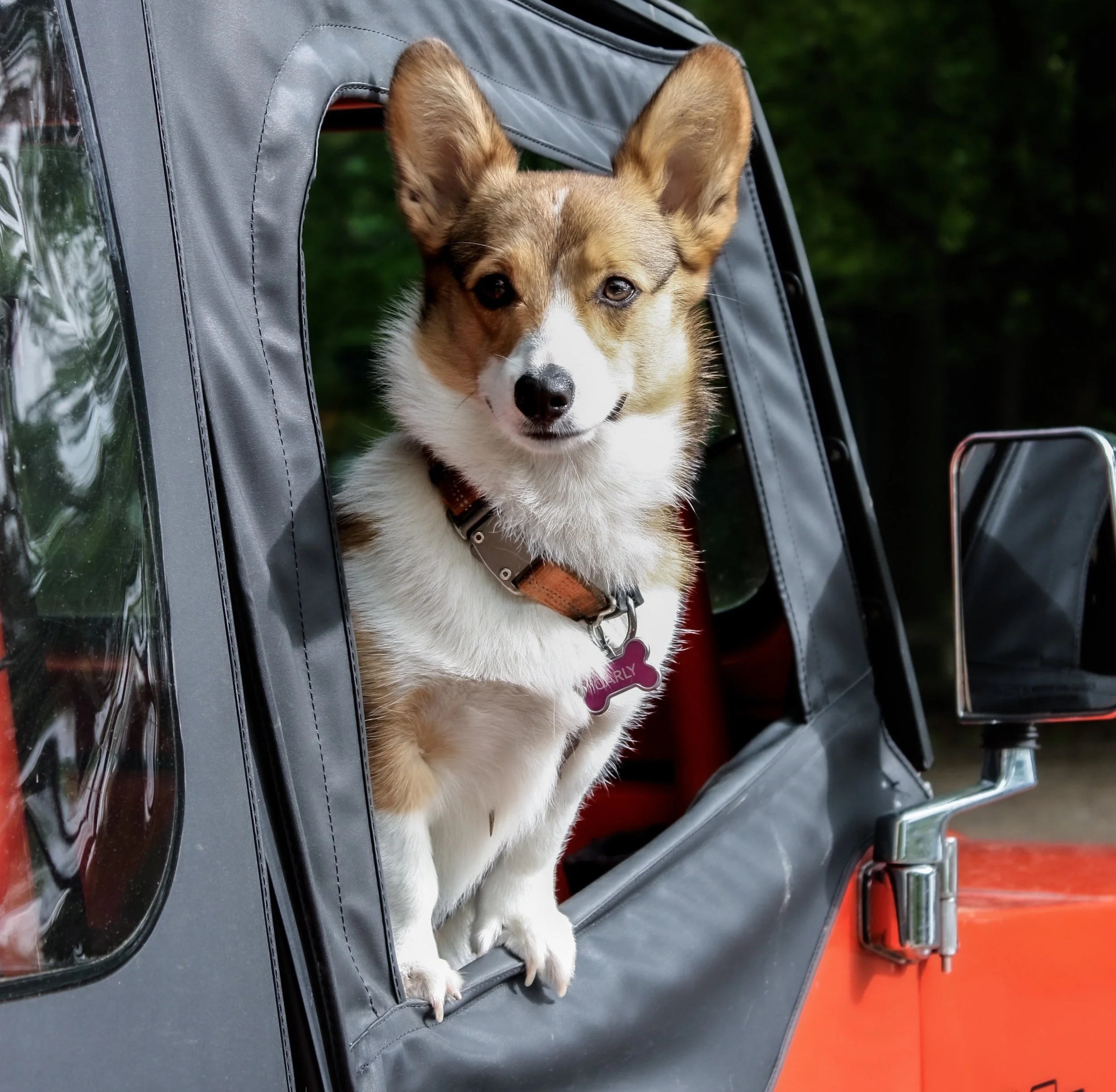 Location, Location, Location!