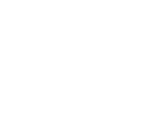 BHFF_logo_NEW_OFFICIAL_SELECTION_2020_20TH_White.png