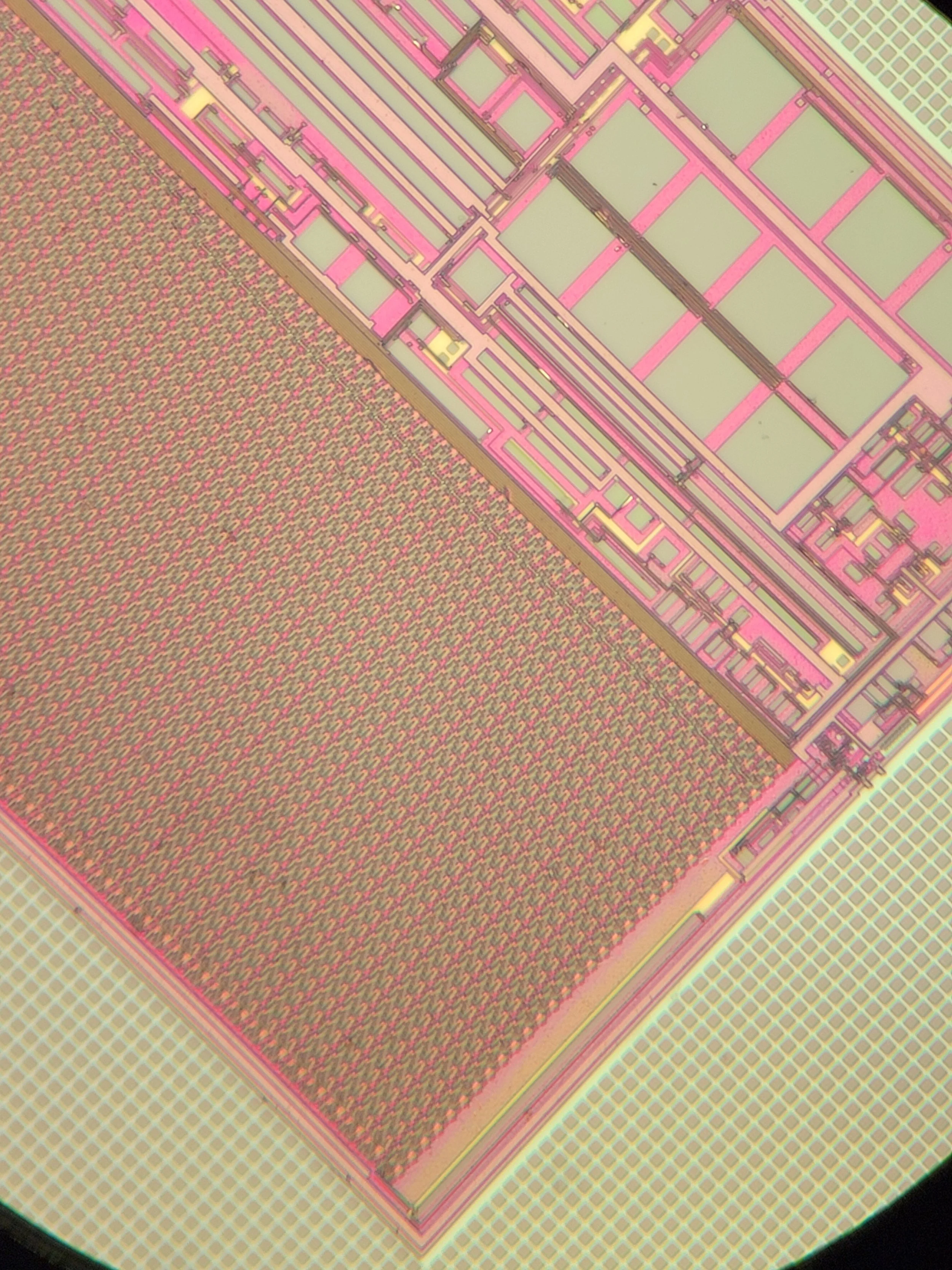20220918_204321.jpg