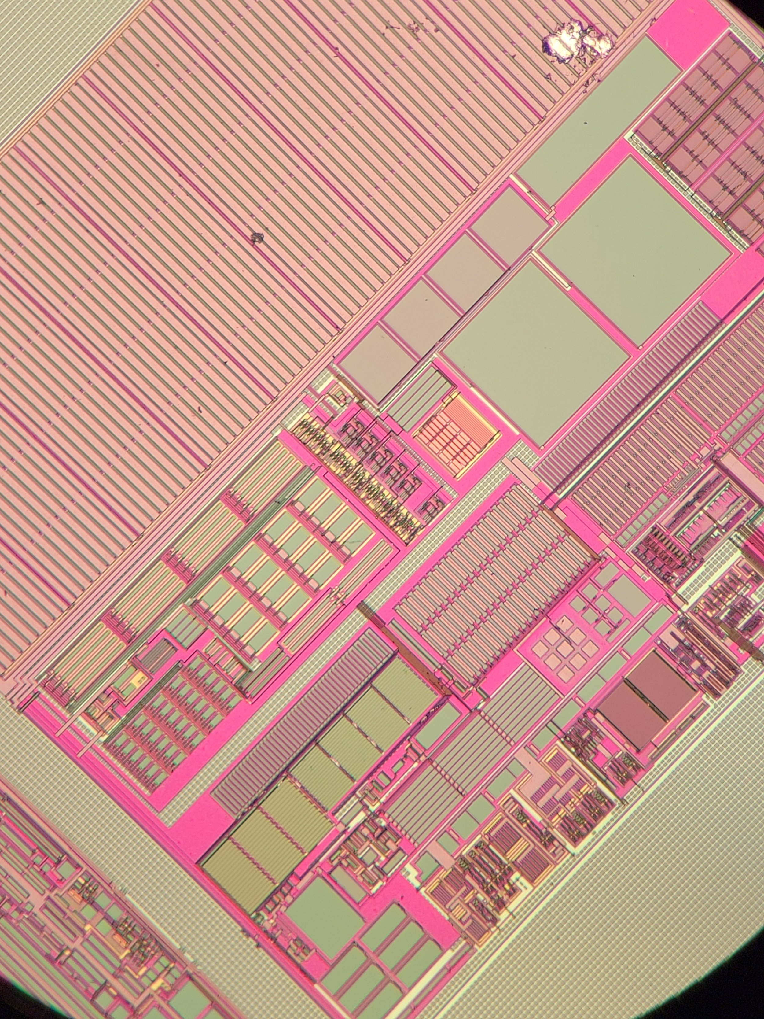 20220918_204431.jpg