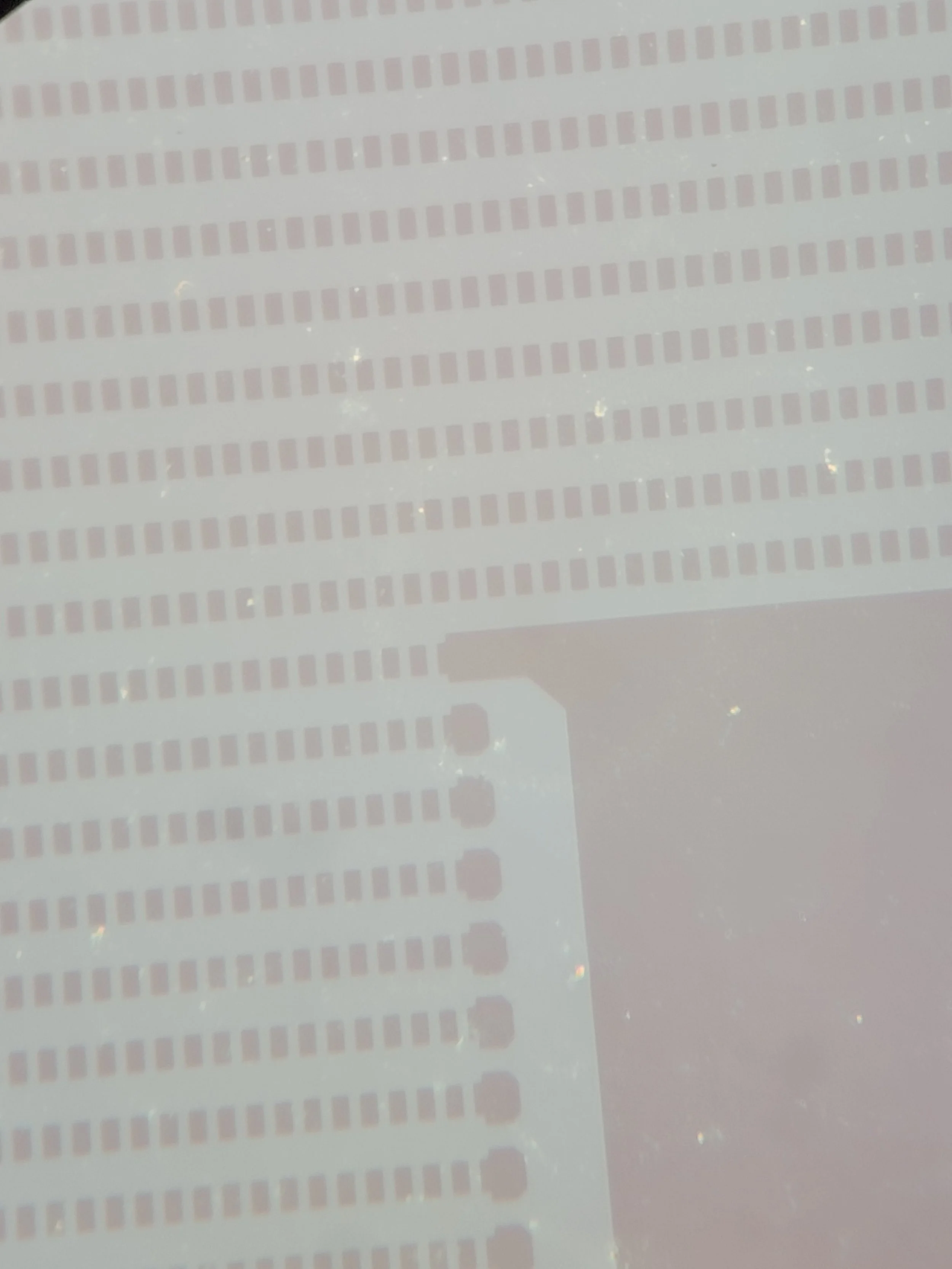 20220918_202126.jpg
