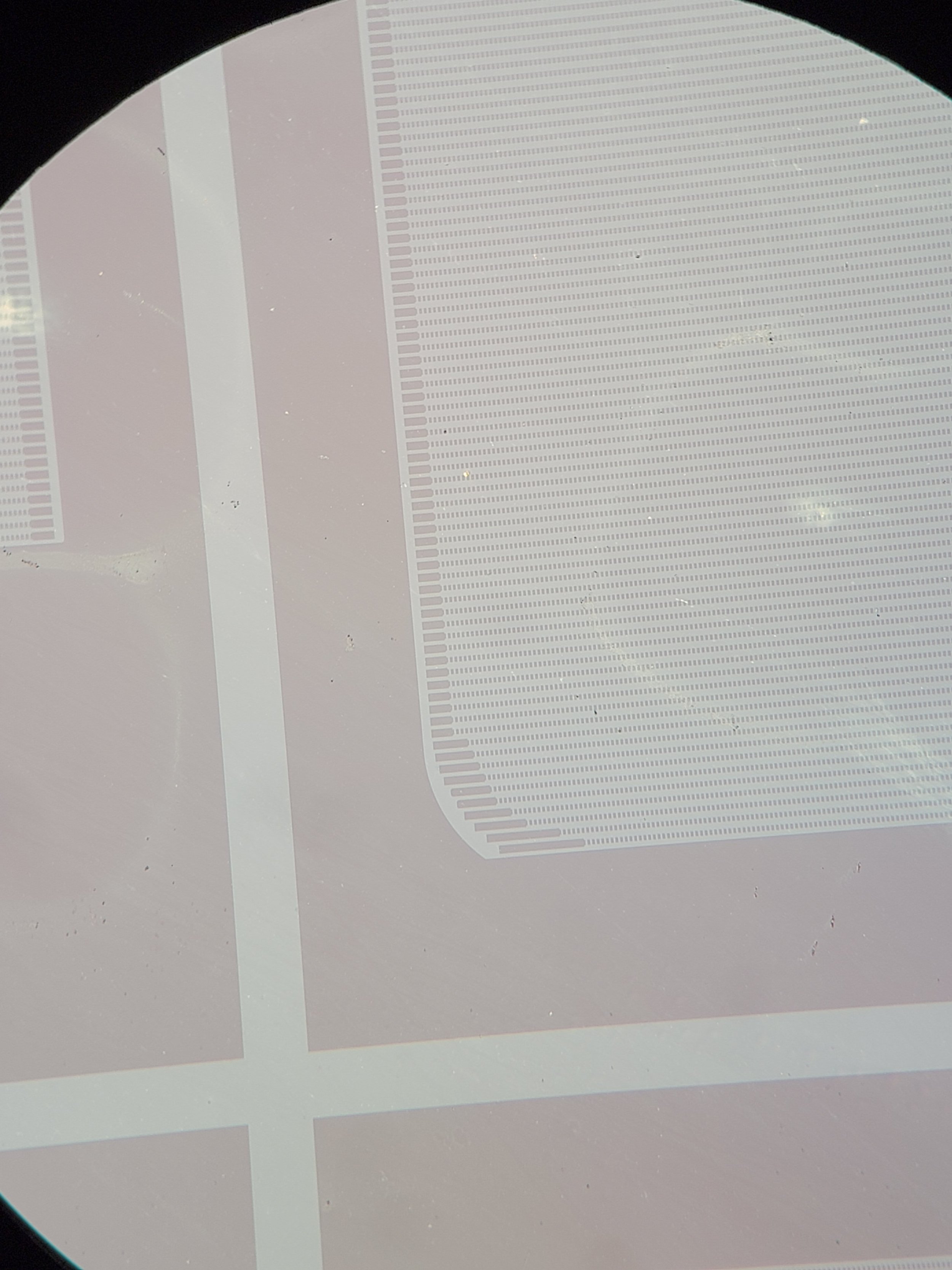 20220918_202026.jpg