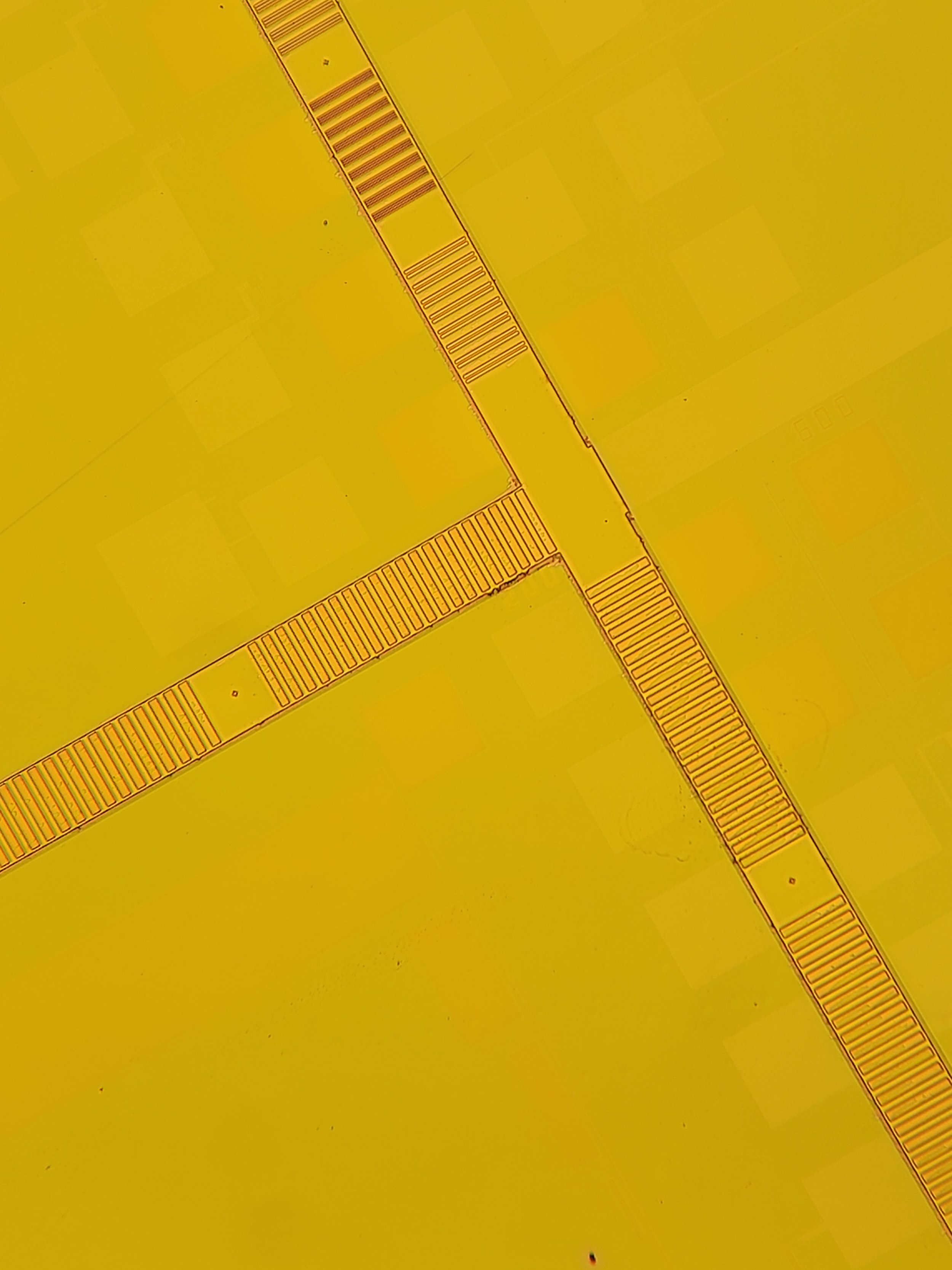 20220918_200322.jpg