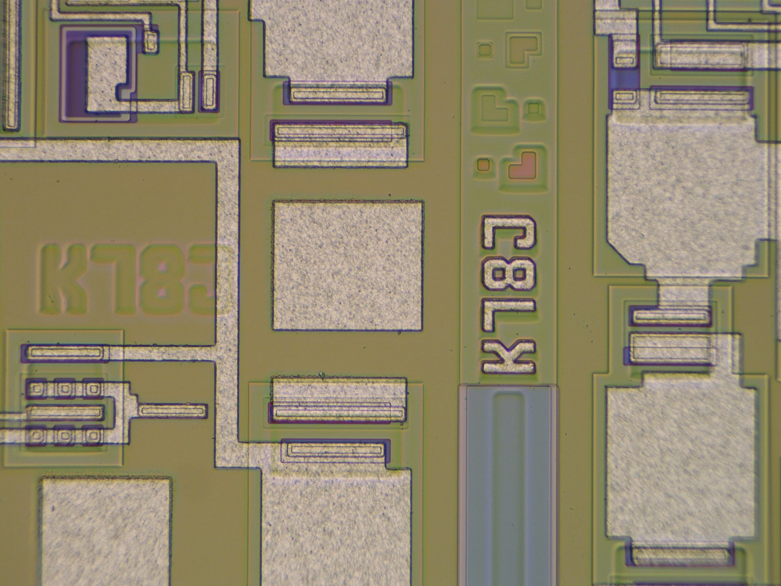 W4002_5.jpg