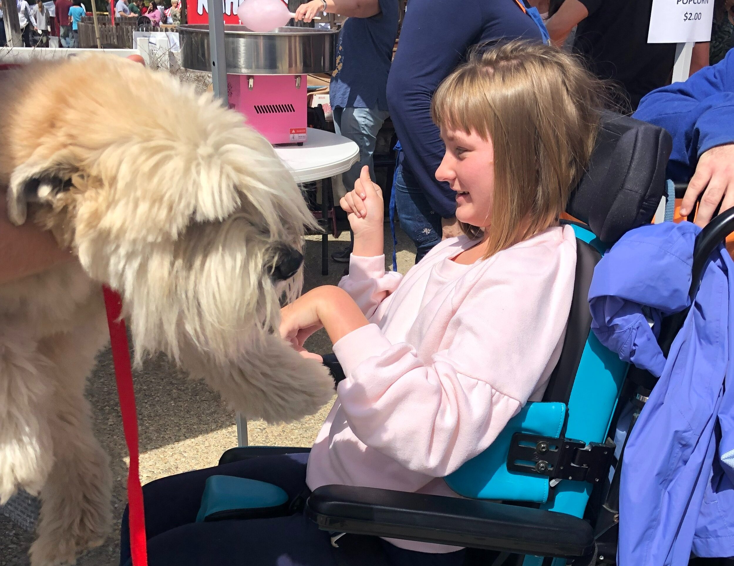 Teddy's outreach at Poway Pets in the Park