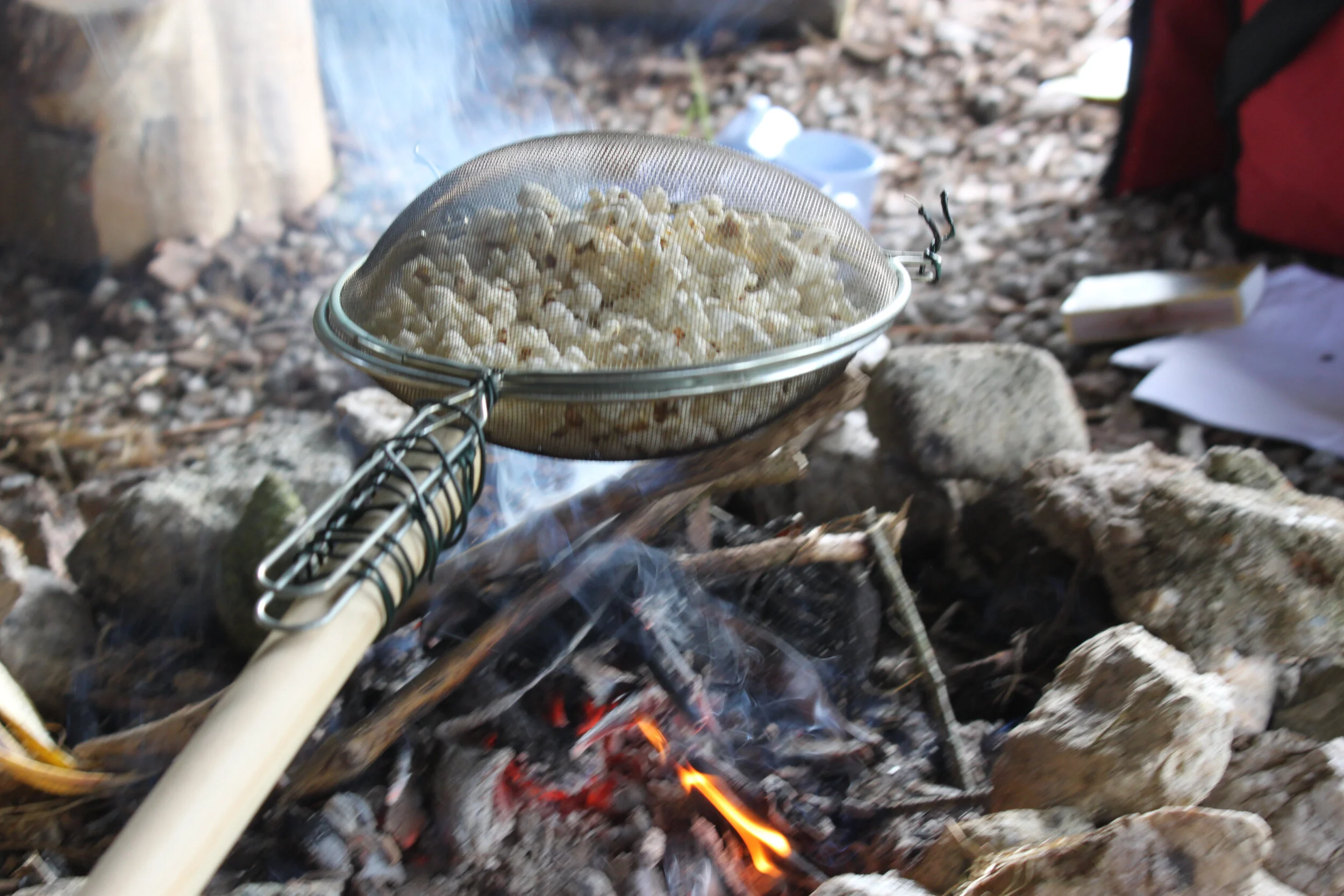 forest school.jpg