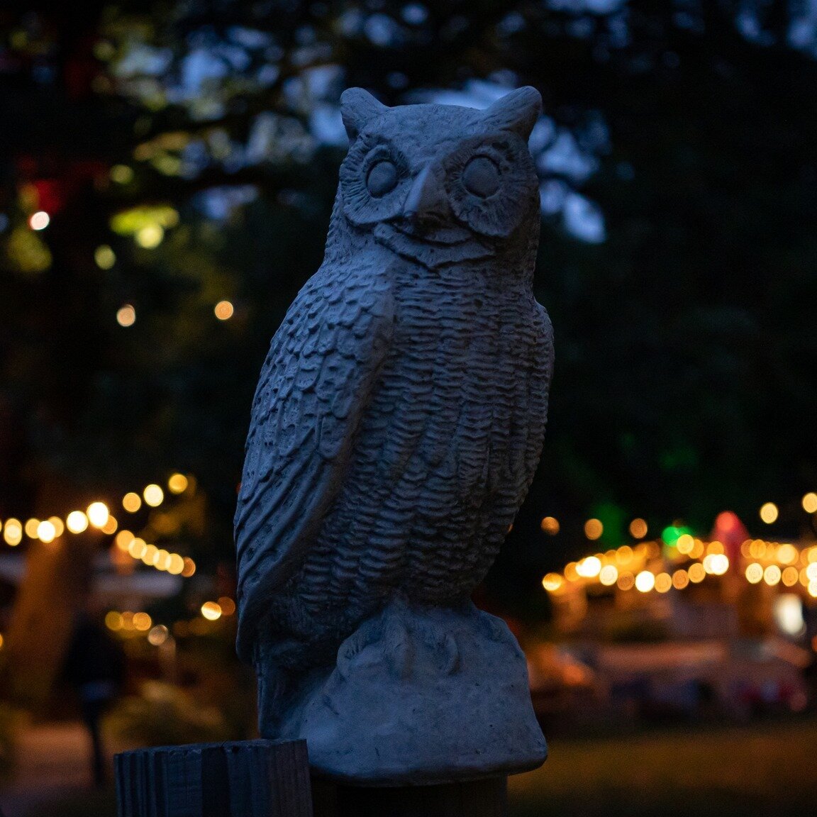 Wist je dat er wel 200 uiltjes in alle vormen en maten te vinden zijn op de camping? 🦉💚 Dankzij onze lieve gasten komen er elk jaar nieuwe uiltjes bij en zijn we stiekem inmiddels de tel kwijt. Maar gelukkig helpen alle kids ons hierbij in de zomer