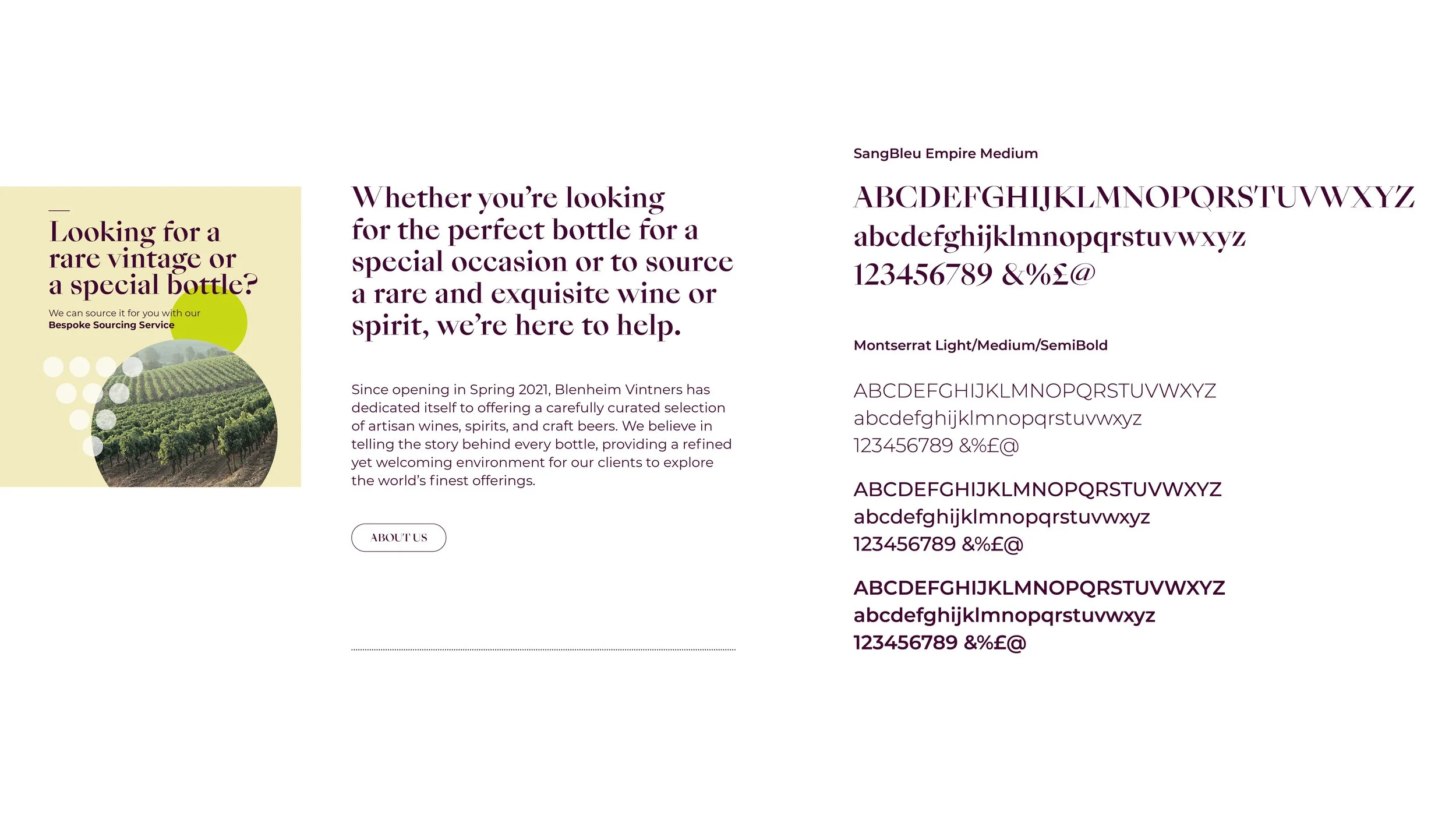 BV Case study full screen TYPE.jpg