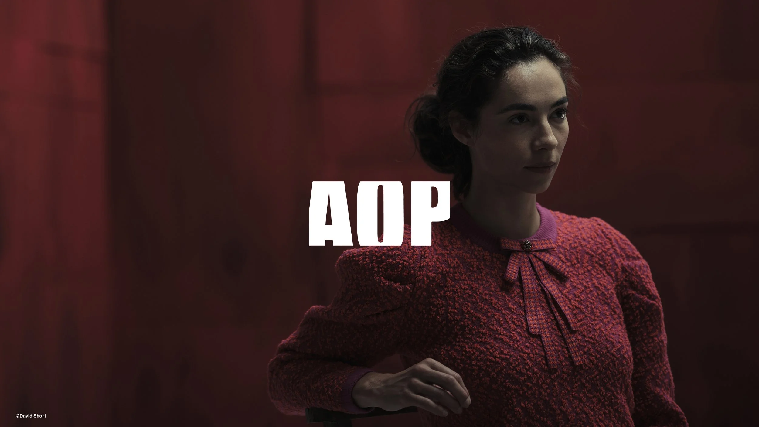 AOP 40th Anniversary Awards