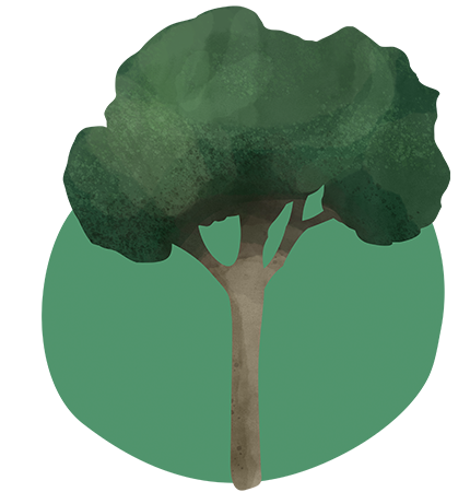 8180_tree_icon.png