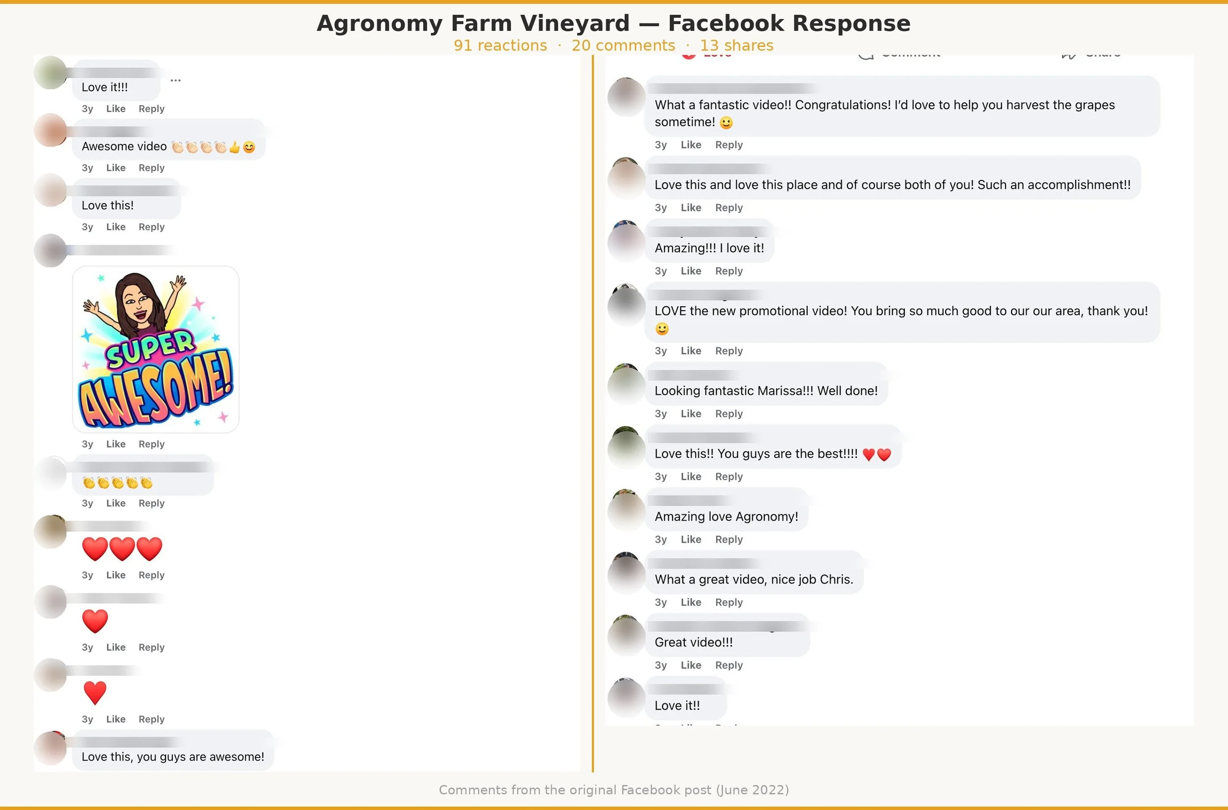 Screenshot of Facebook comments discussing a promotional video for Agronomy Farm Vineyard, with comments praising the video and emojis, and an animated sticker saying "Super Awesome!"