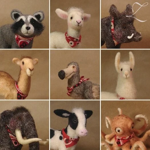 About the Strays — Zolala!