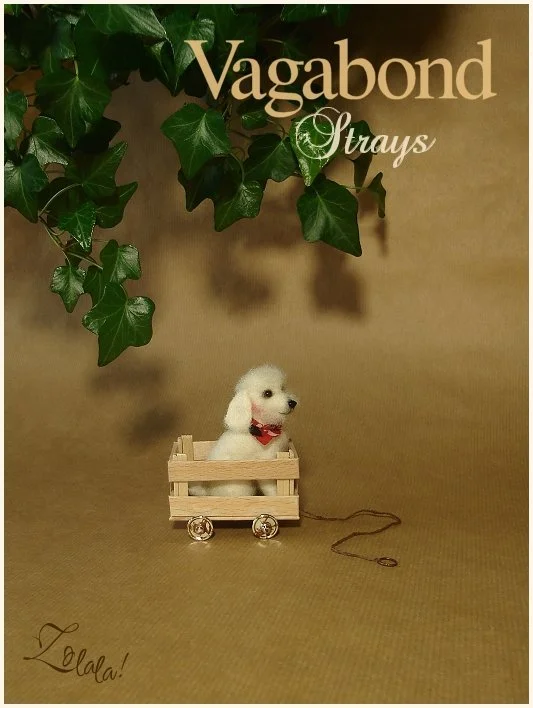 DogBichPrim2.jpg