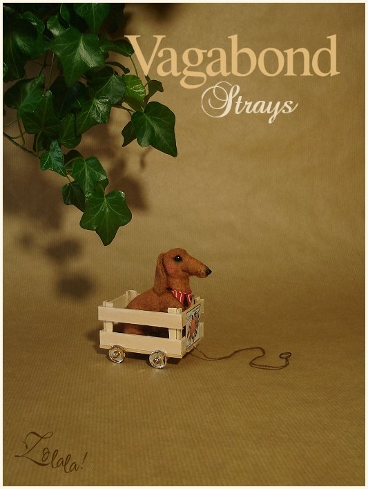 DogDachReginald2.jpg
