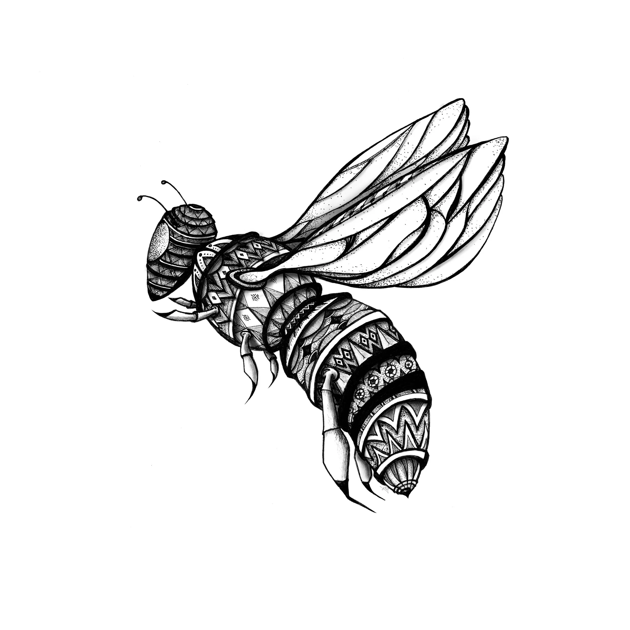 Warrior bee 30x30.jpg