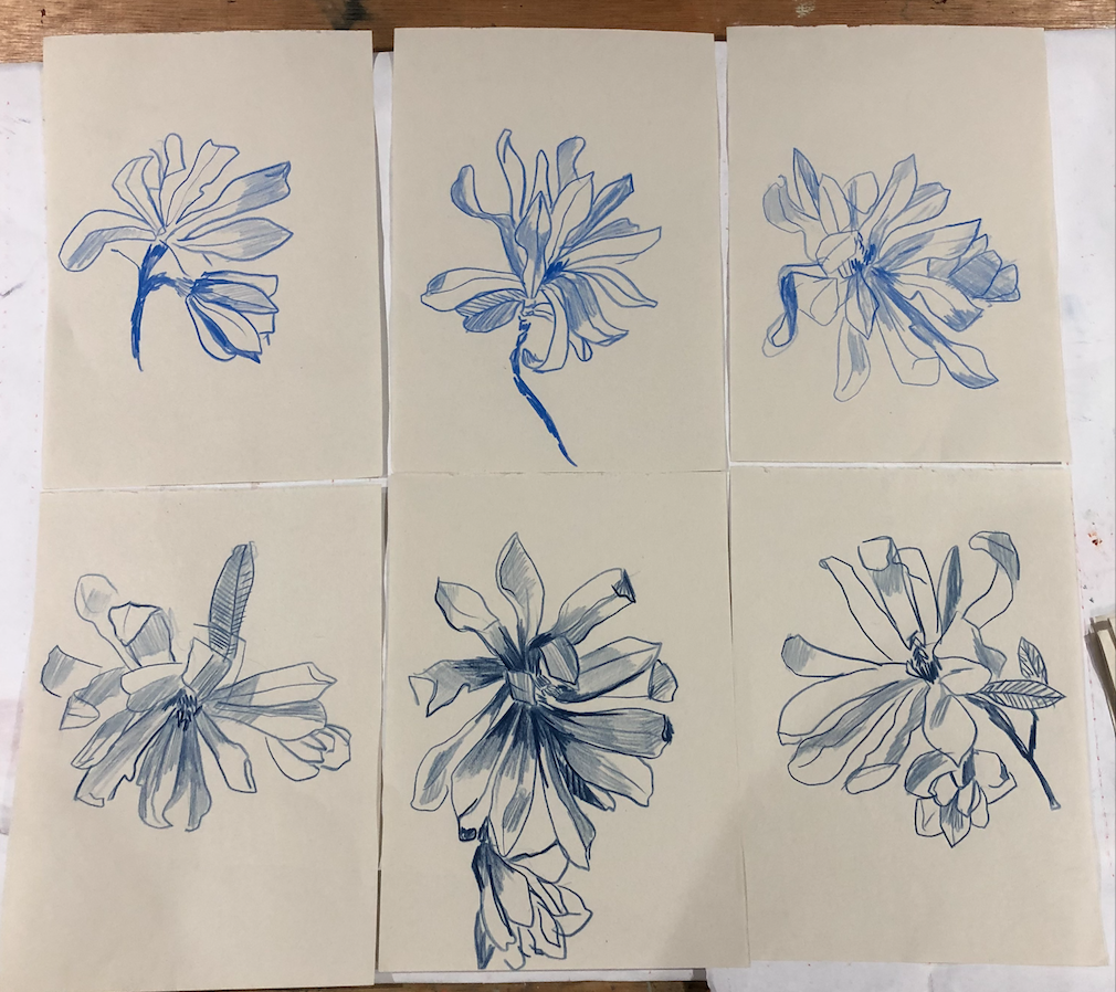 Magnolia 
