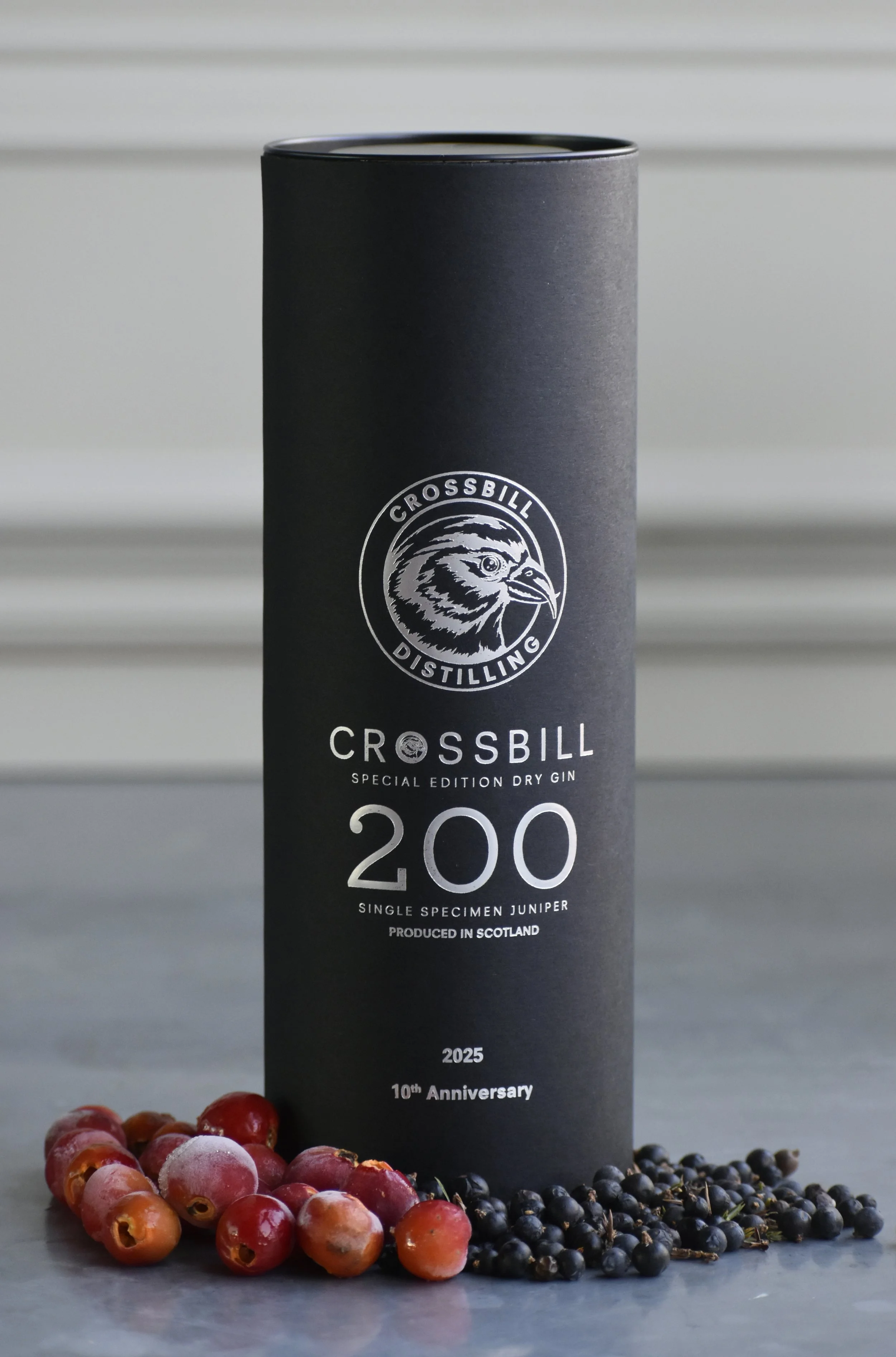 _DSC0162 copy CROPPED.jpg