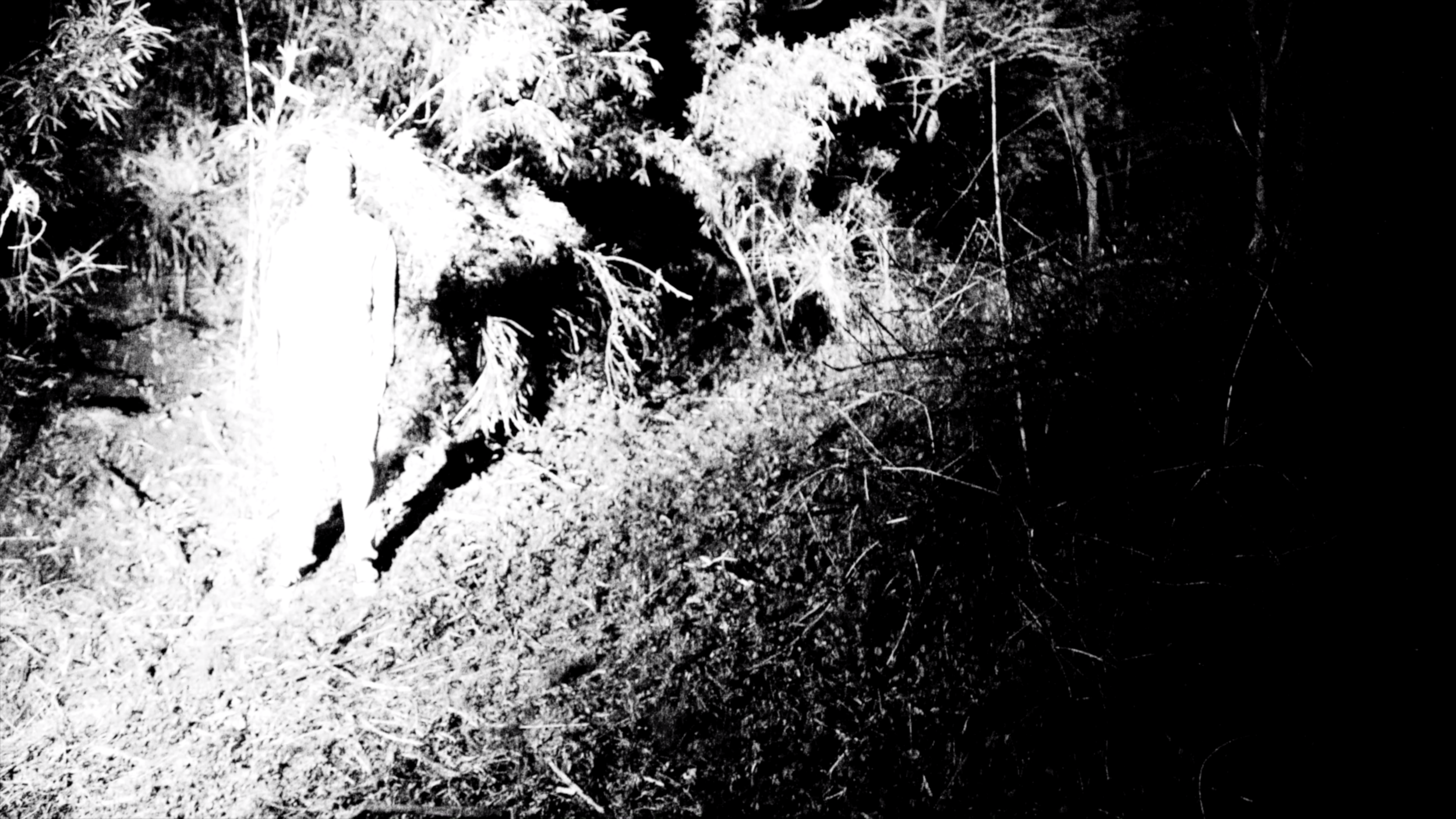 スクリーンショット 2019-10-12 0.04.32.png