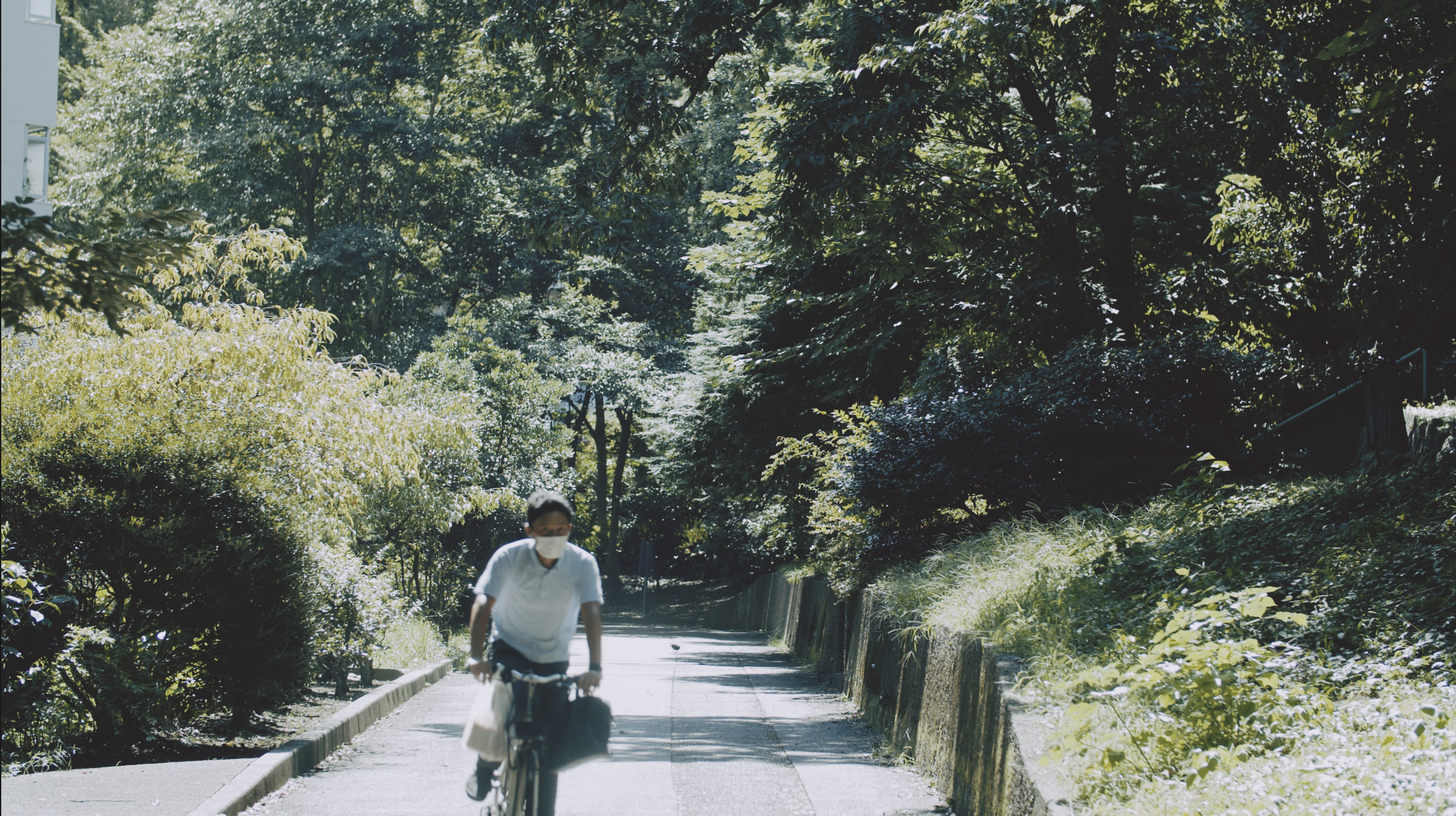 WHO  Directed, Cinematograph, and Edited by KENTA HIRAI 