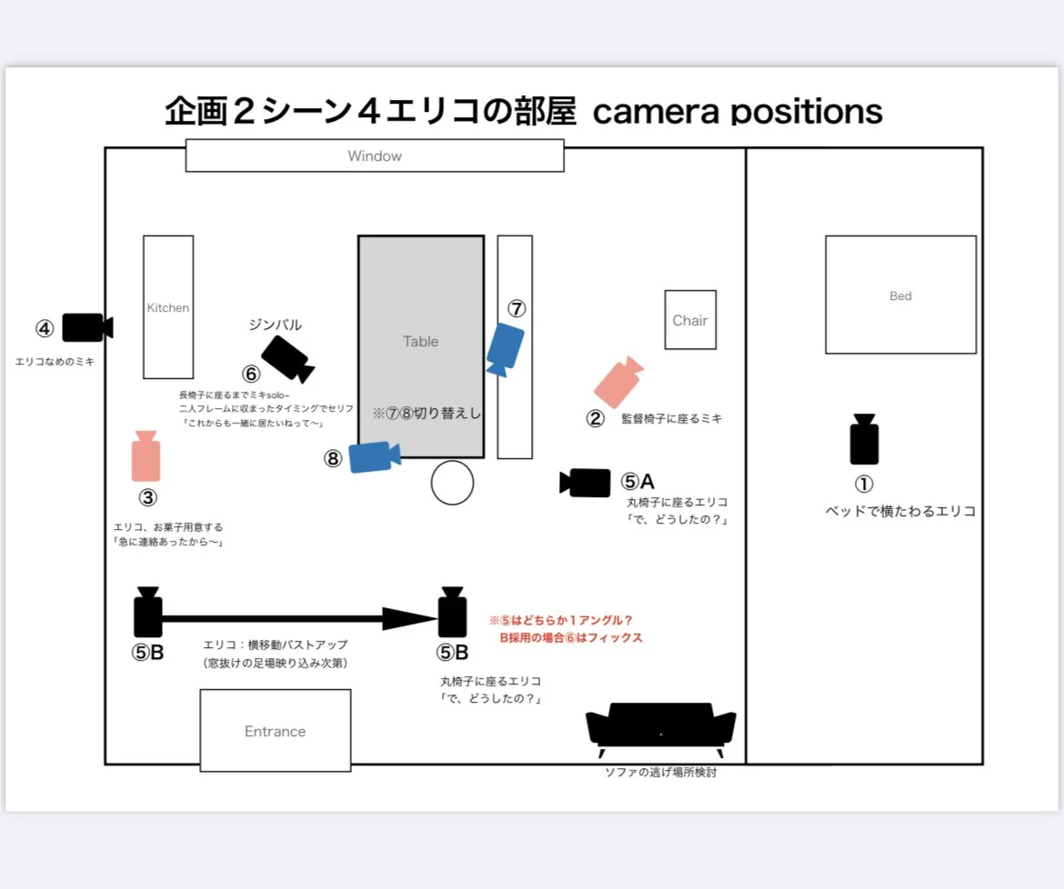 監督指定のカメラポジション