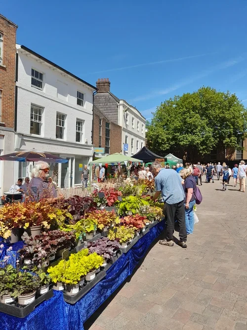Andover Gardening Fair 2026