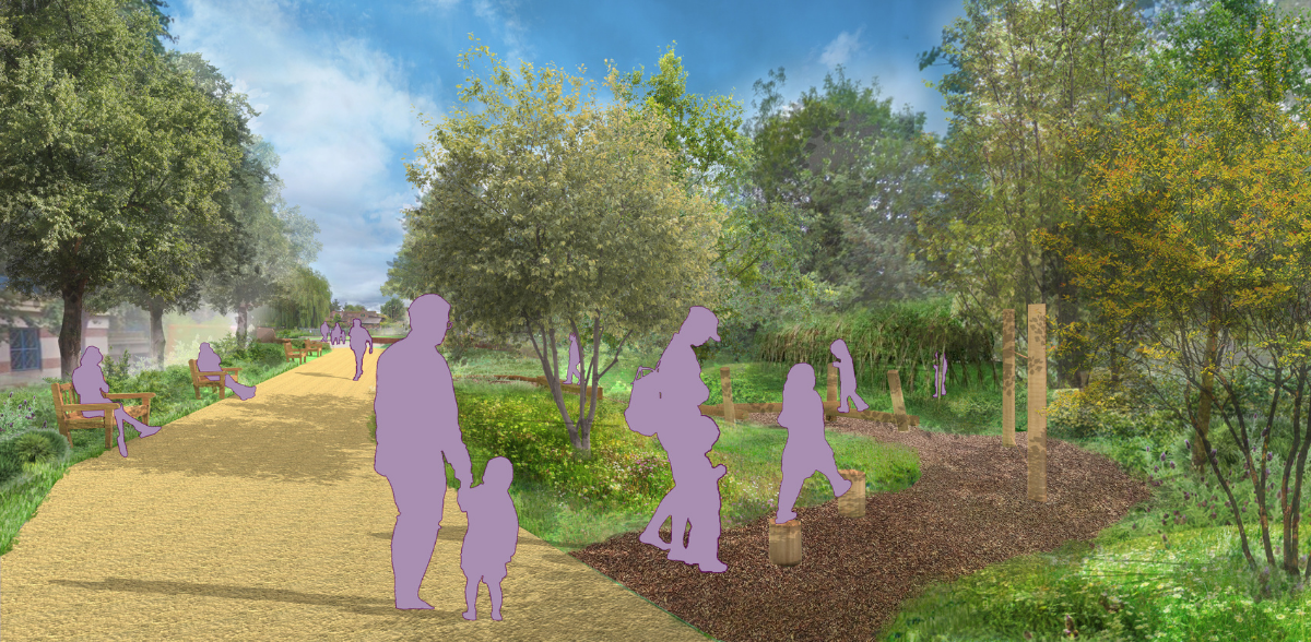 Western Avenue, forest view