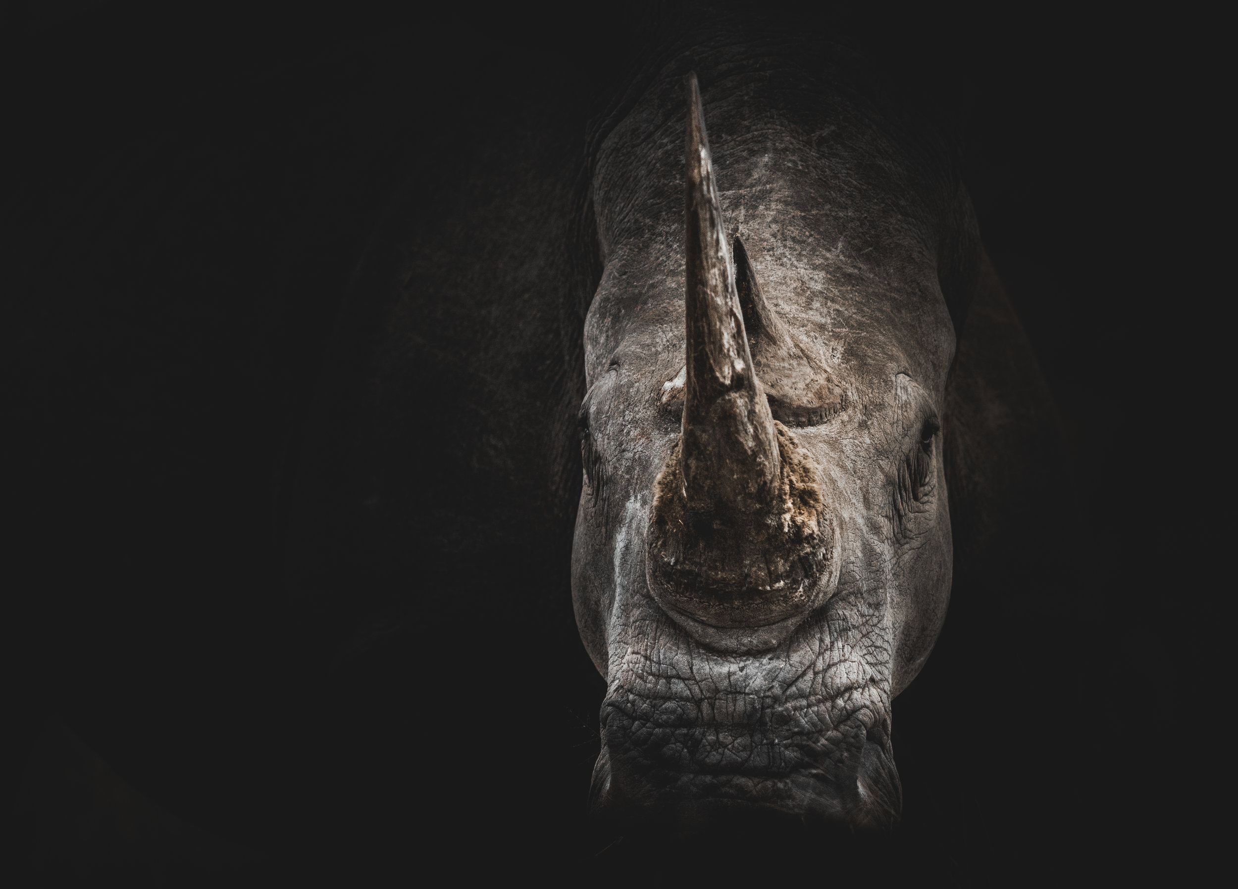THE RHINO SERIES - The Big Legalisation Debate