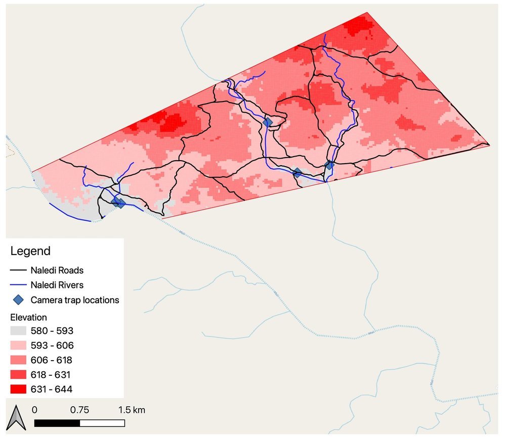Naledi_elevation.jpeg