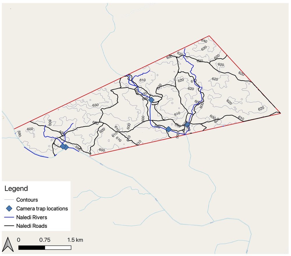 Naledi_Contours.jpeg