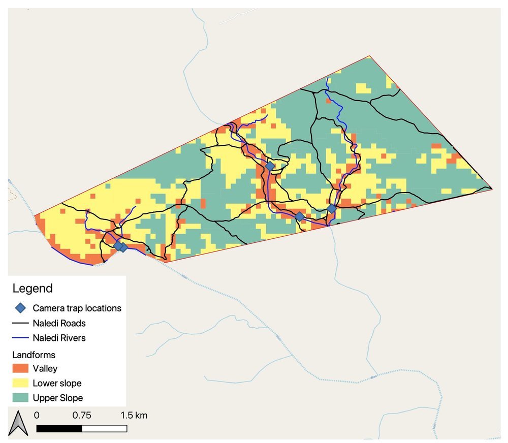 Naledi_Landforms.jpeg