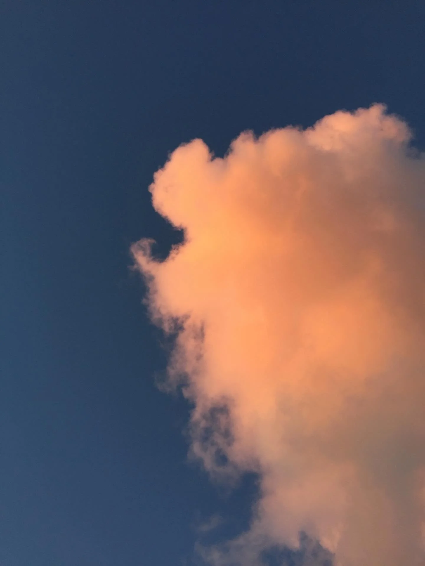 Equinox Blessings 🤍