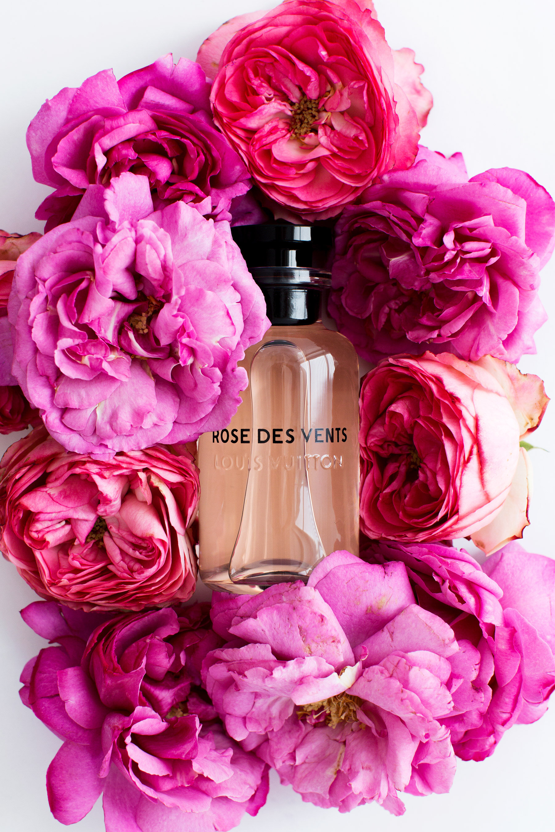 Fragrance — Blog — Carin Olsson