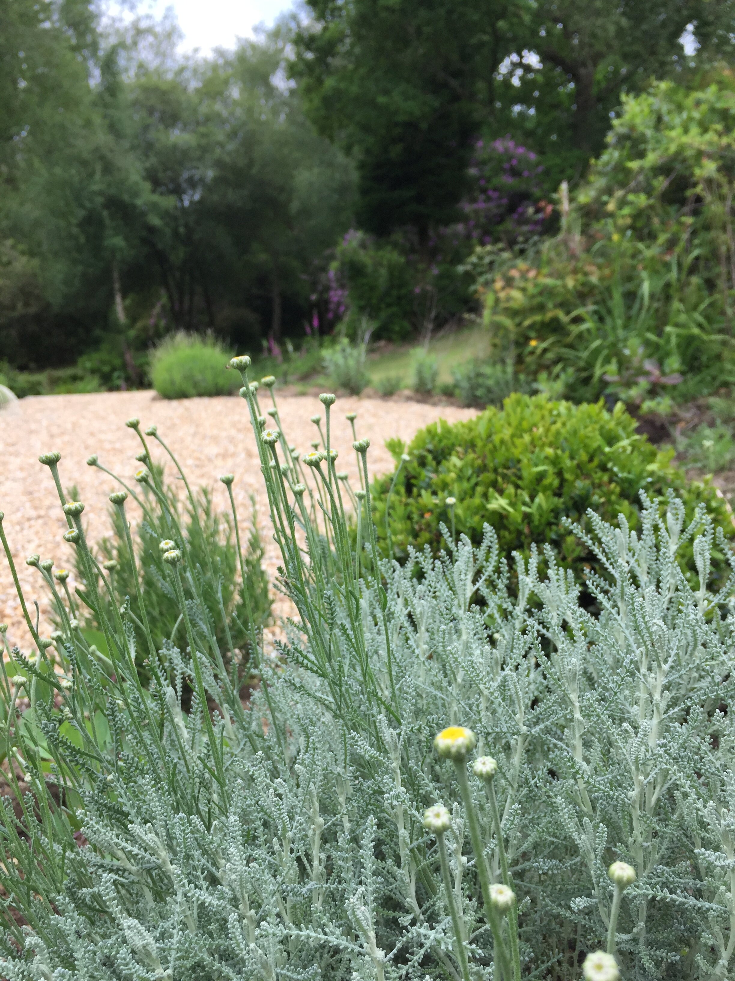 country large garden.jpeg