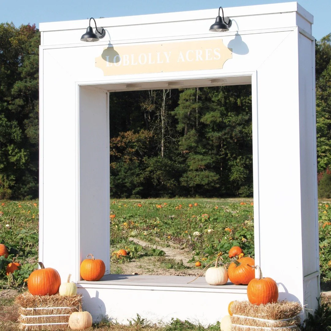 🎃 PUMPKIN PATCH SUNDAYS at Loblolly Acres! 
Every Sunday in October 11AM - 4PM
Viola, Delaware

🎃 Two live bands performing each Sunday

🎃 Hayride tour of the farm to appreciate the serene farm atmosphere

🎃 Pumpkin Picking from our patch

🎃 Sho