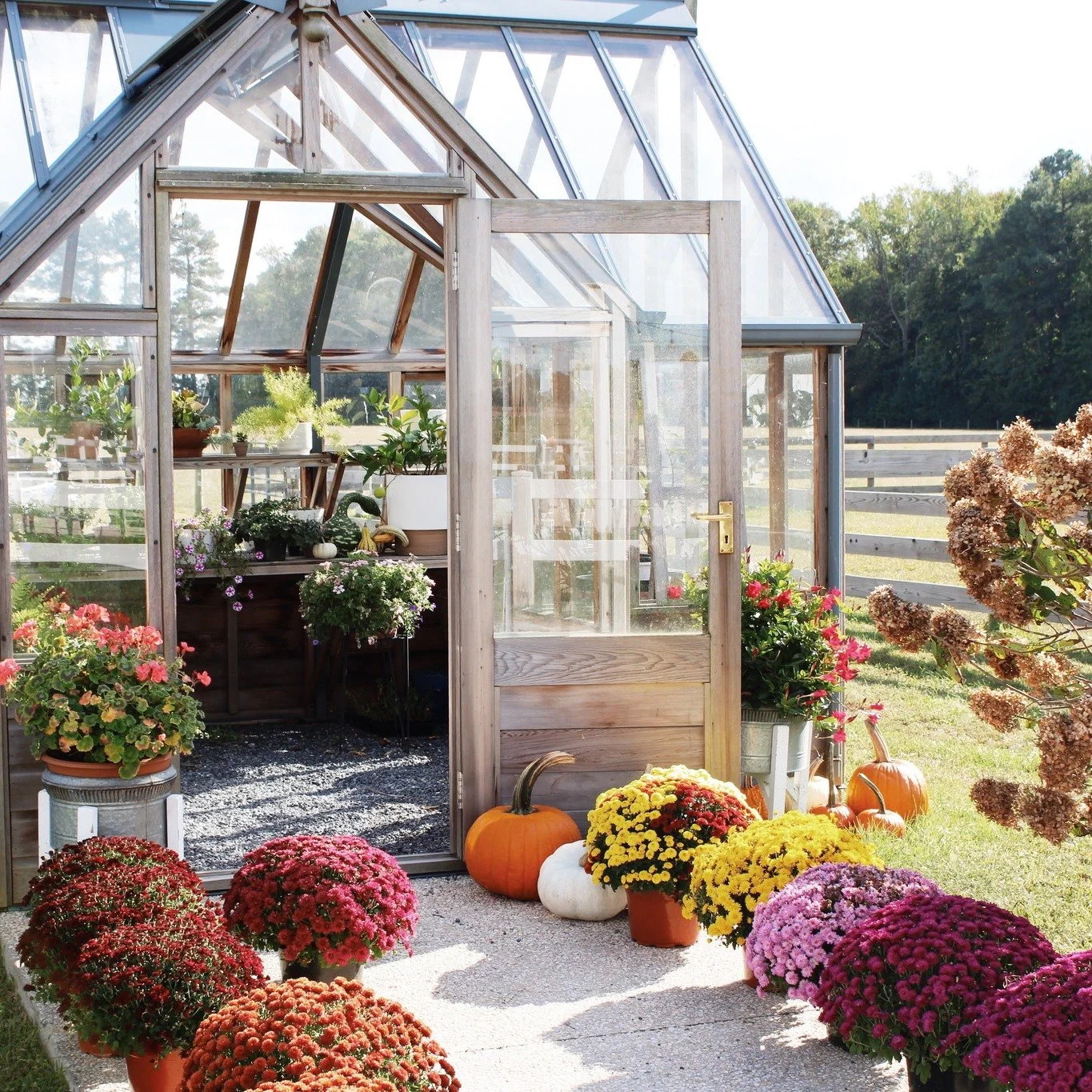 TODAY at Loblolly PUMPKIN PATCH SUNDAY! 
This Sunday &amp; Every Sunday in October 11AM - 4PM
Viola, Delaware

🎃 Performing Live this Sunday - Mixed Business 11-1:30 &amp; 1:30 - 4 Nothin' But Trouble

🎃 Hayride tour of the farm to appreciate the s