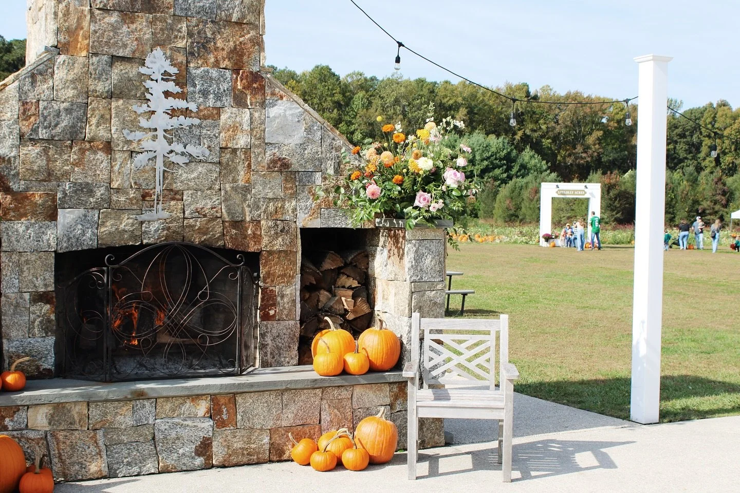 THIS SUNDAY at Loblolly 🎃 
Our last PUMPKIN PATCH SUNDAY of the season! 
October 26th from 11AM - 4PM
Viola, Delaware

🎃 Performing Live this Sunday - @ceciliagracemusic 11-1:30 &amp; @judysingstheblues 1:30-4

🎃 Tractor tour of the farm to apprec