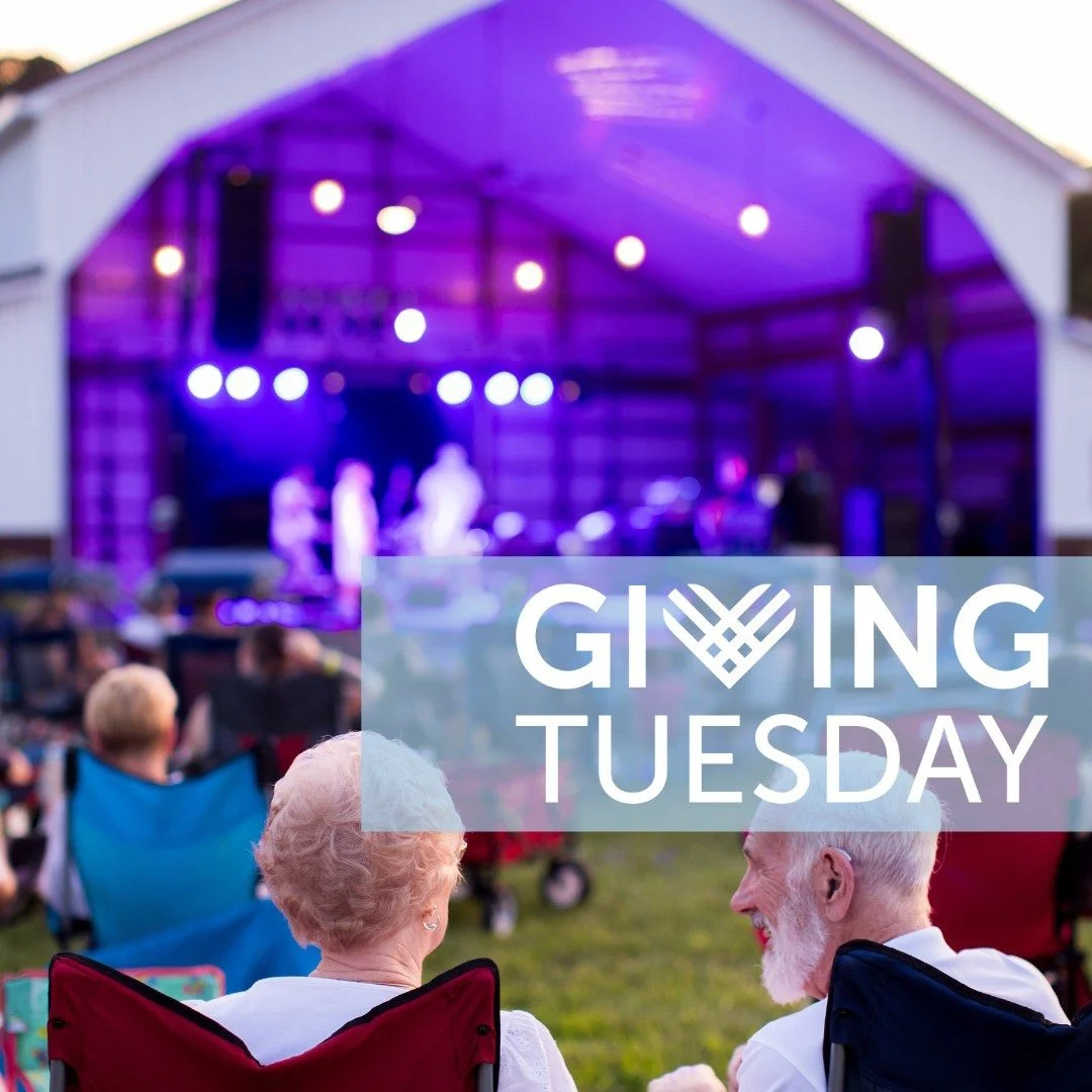 This Giving Tuesday, we&rsquo;re asking for something a little different&mdash;your ideas. We&rsquo;d love to hear what you hope to see at Loblolly in the future, whether it&rsquo;s artists you&rsquo;d like us to host, projects you&rsquo;d love to wa