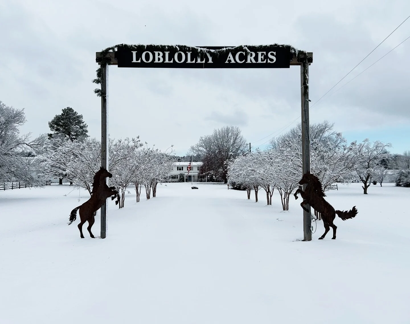 Coming tomorrow&hellip; another popular event returning in 2026 to Loblolly Acres!