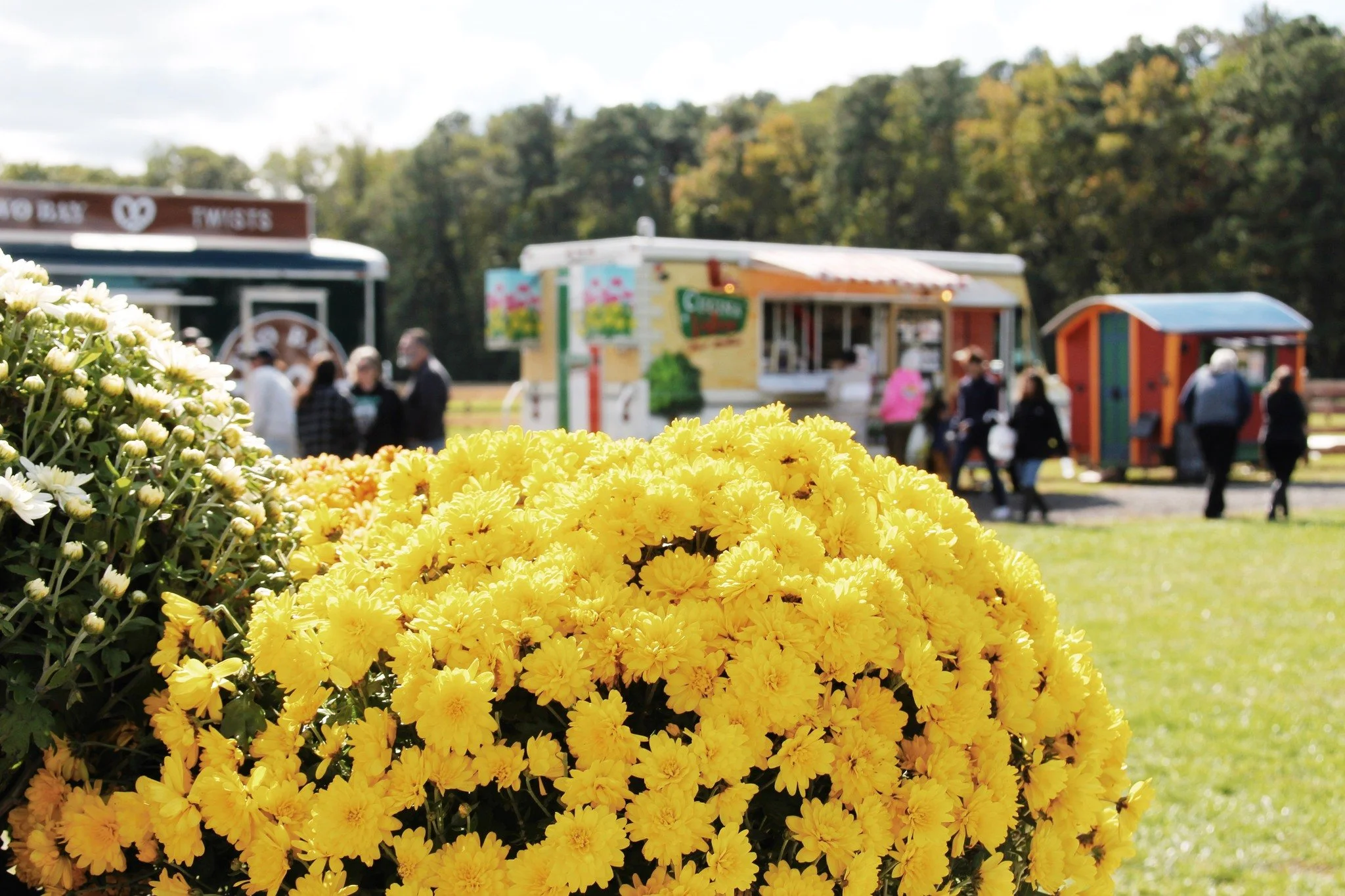 We love supporting local! ❤️

As we plan our 2026 food truck lineup, we&rsquo;d love to hear from you&mdash;
Which local food trucks do you want to see? Comment below