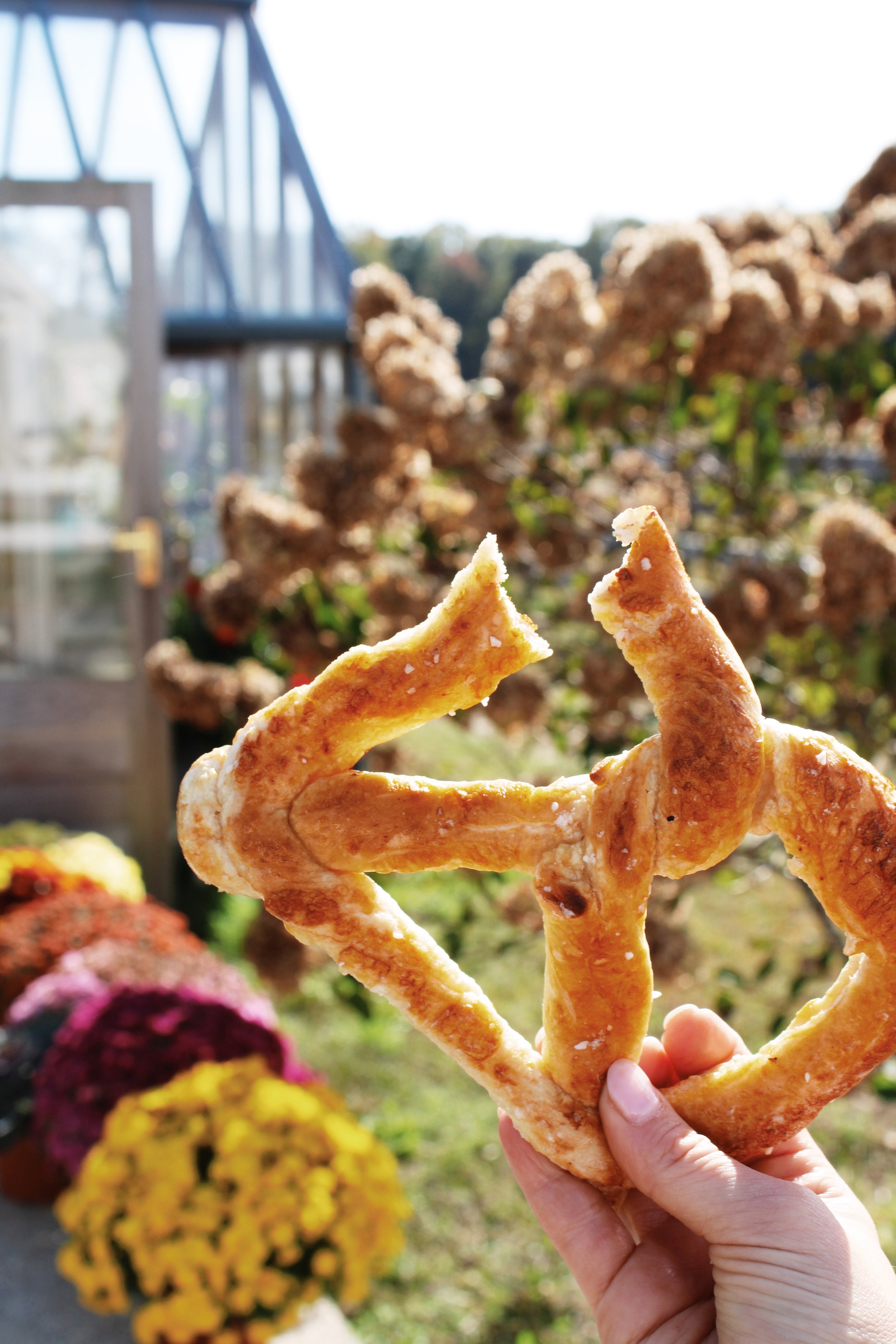 FullSizeRender_VSCO 208.JPG