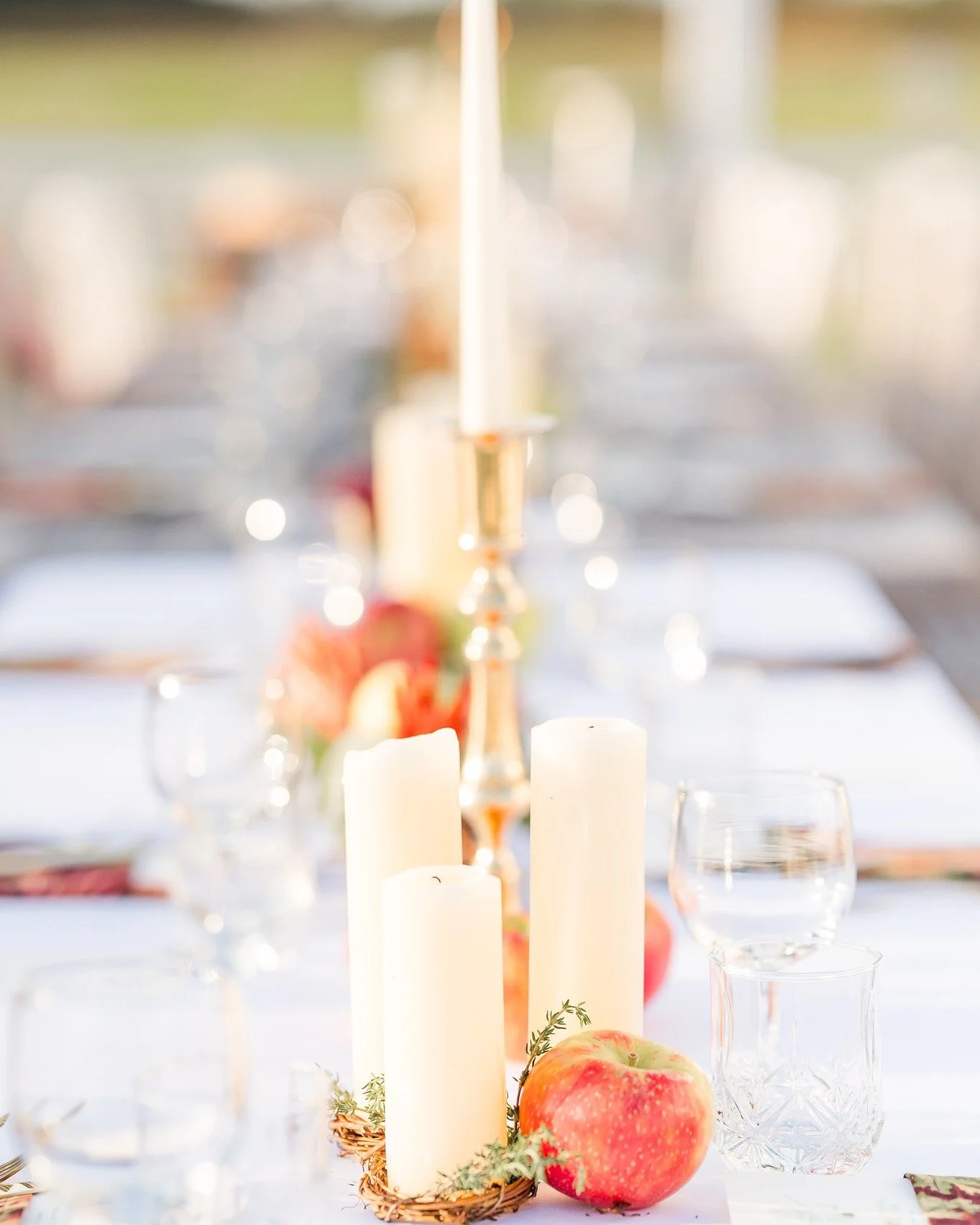 Coming Soon: Chef&rsquo;s Table at Loblolly Acres |  May 4th, 2026

Join us for an unforgettable evening of food, wine, and rustic charm at our intimate Chef&rsquo;s Table dinner on the farm 

The evening will feature Chef Joe Lopez, owner and chef o